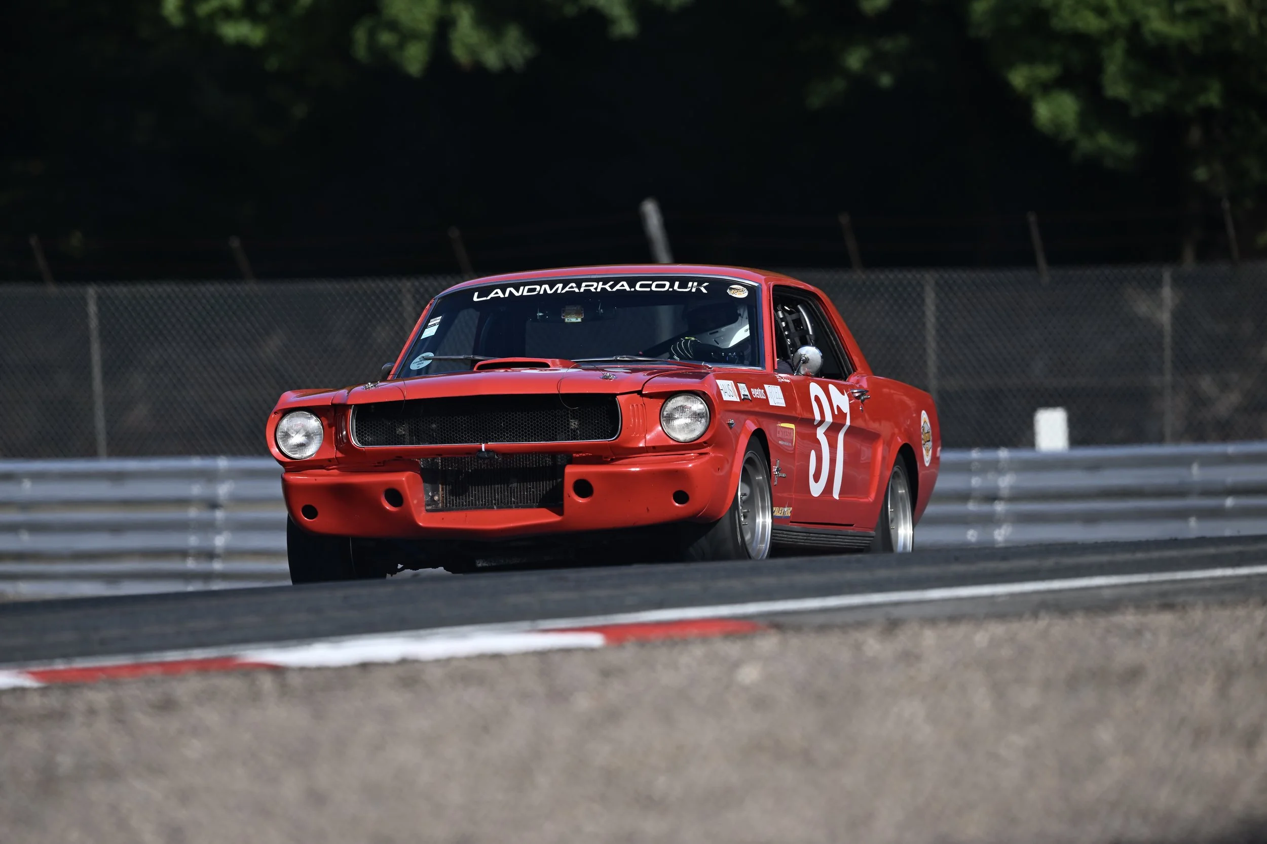 DSC_8551.JPG