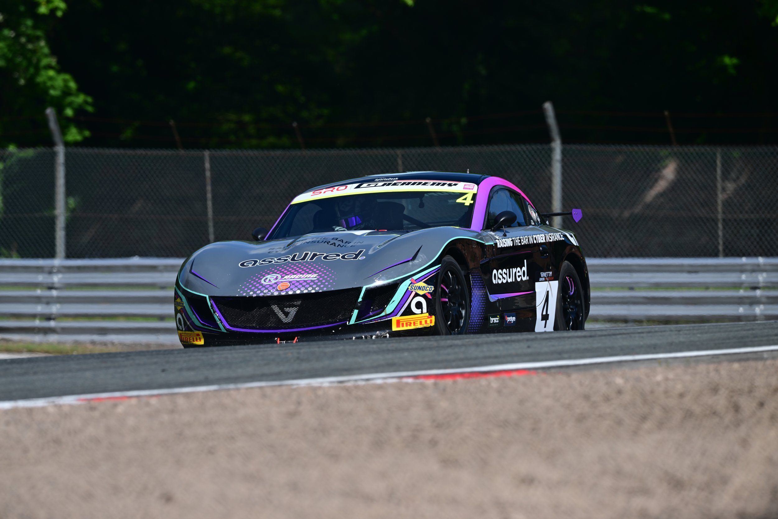 DSC_7264.JPG