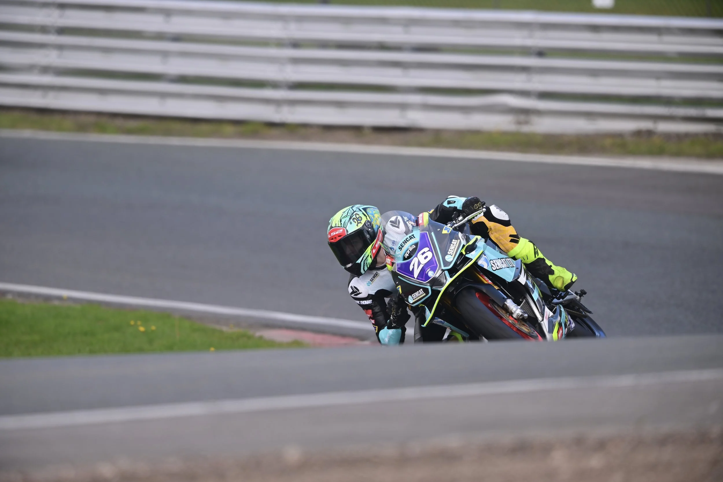 DSC_8762.JPG
