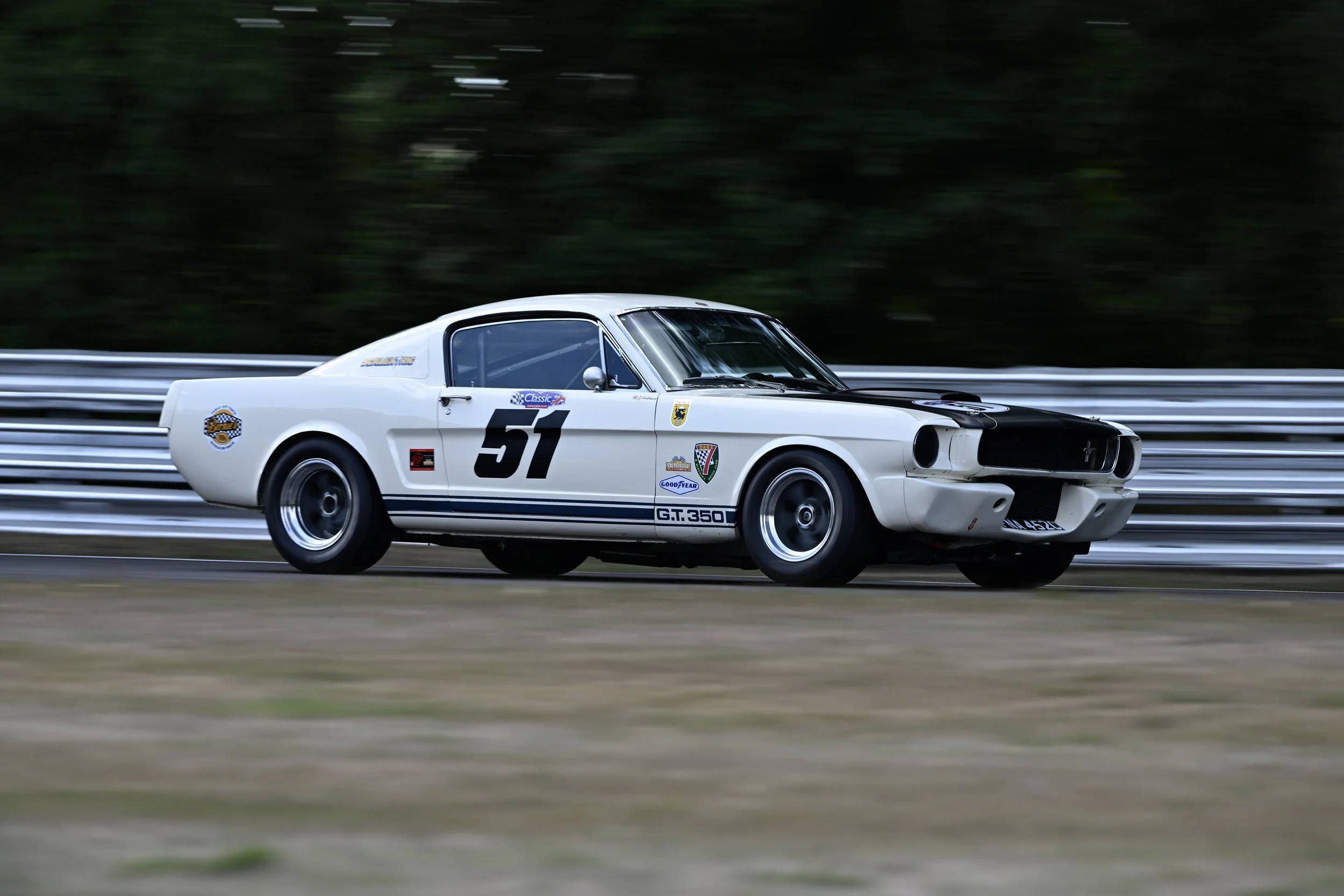 DSC_9221.JPG