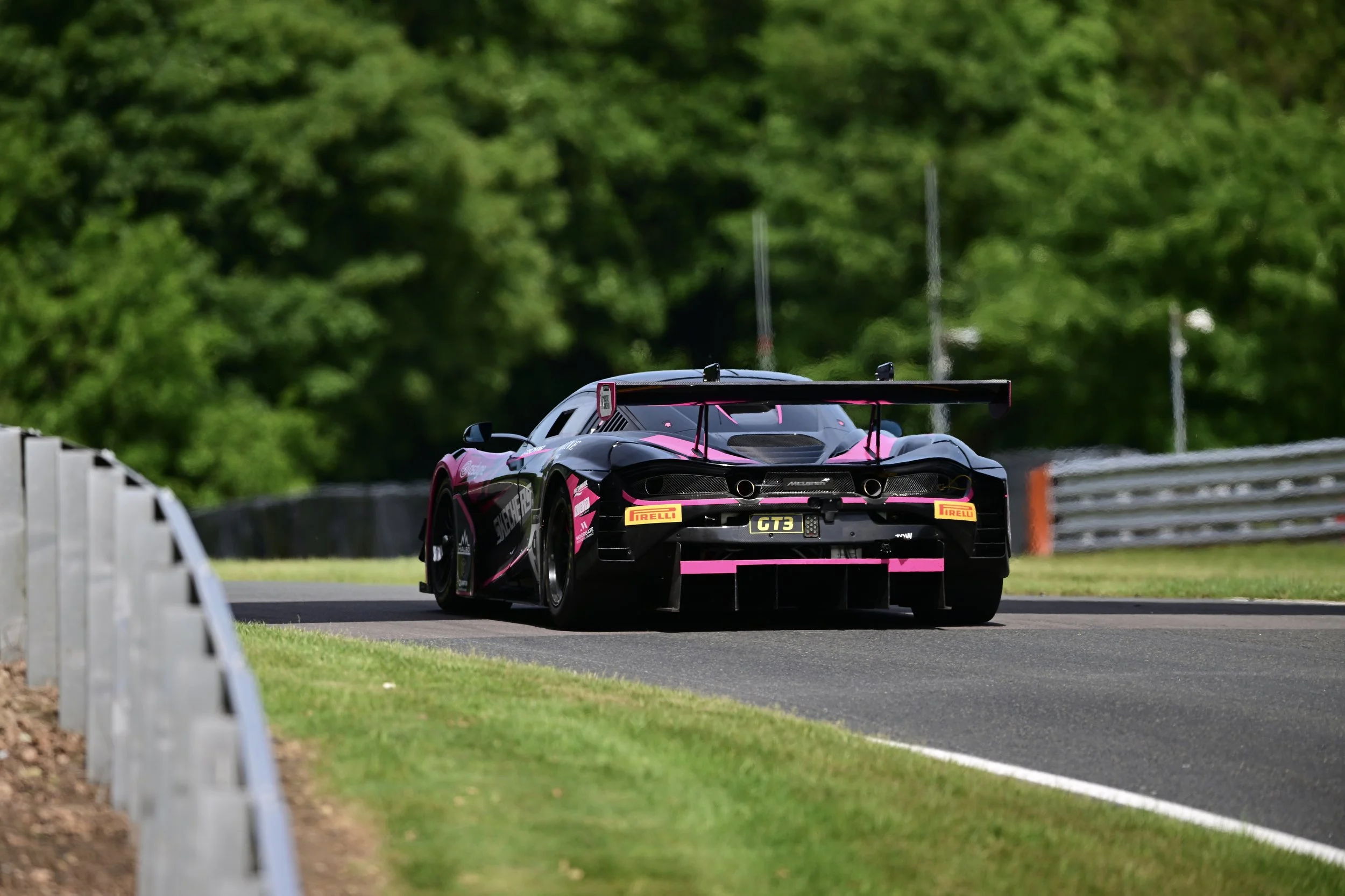 DSC_3130.JPG