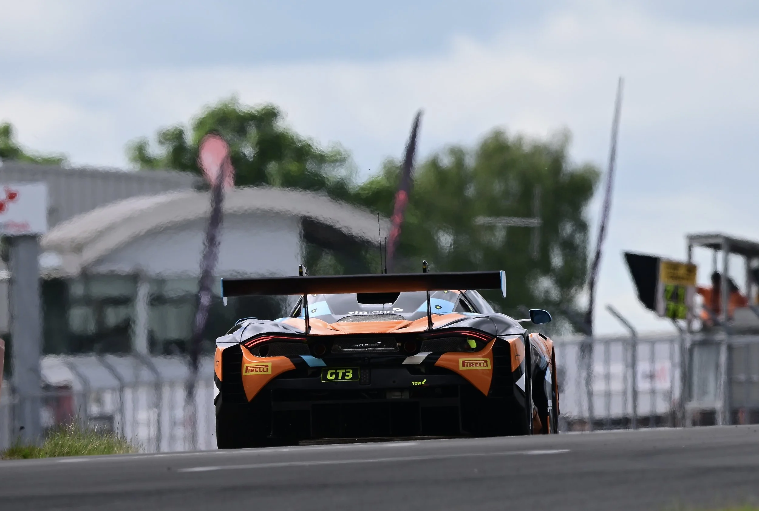 DSC_4529.JPG