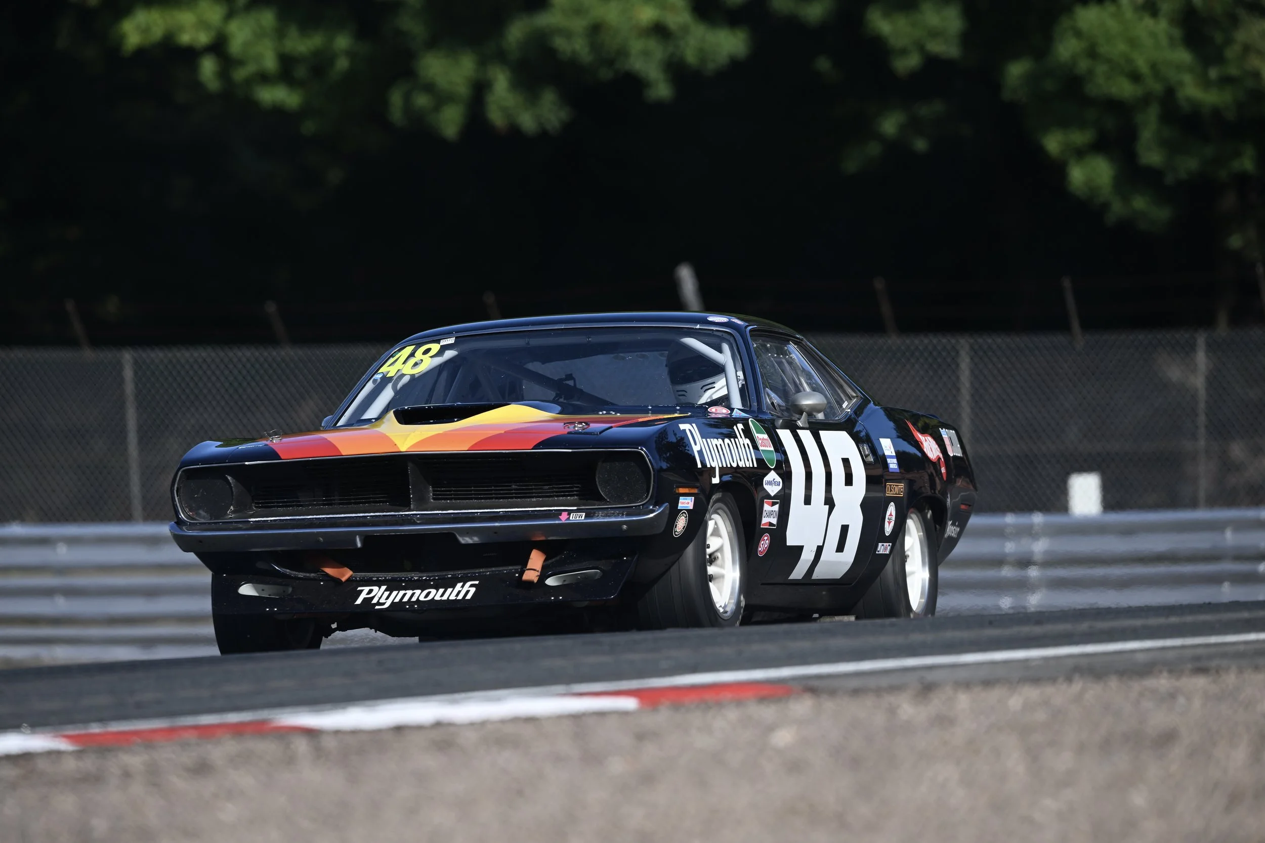 DSC_8543.JPG