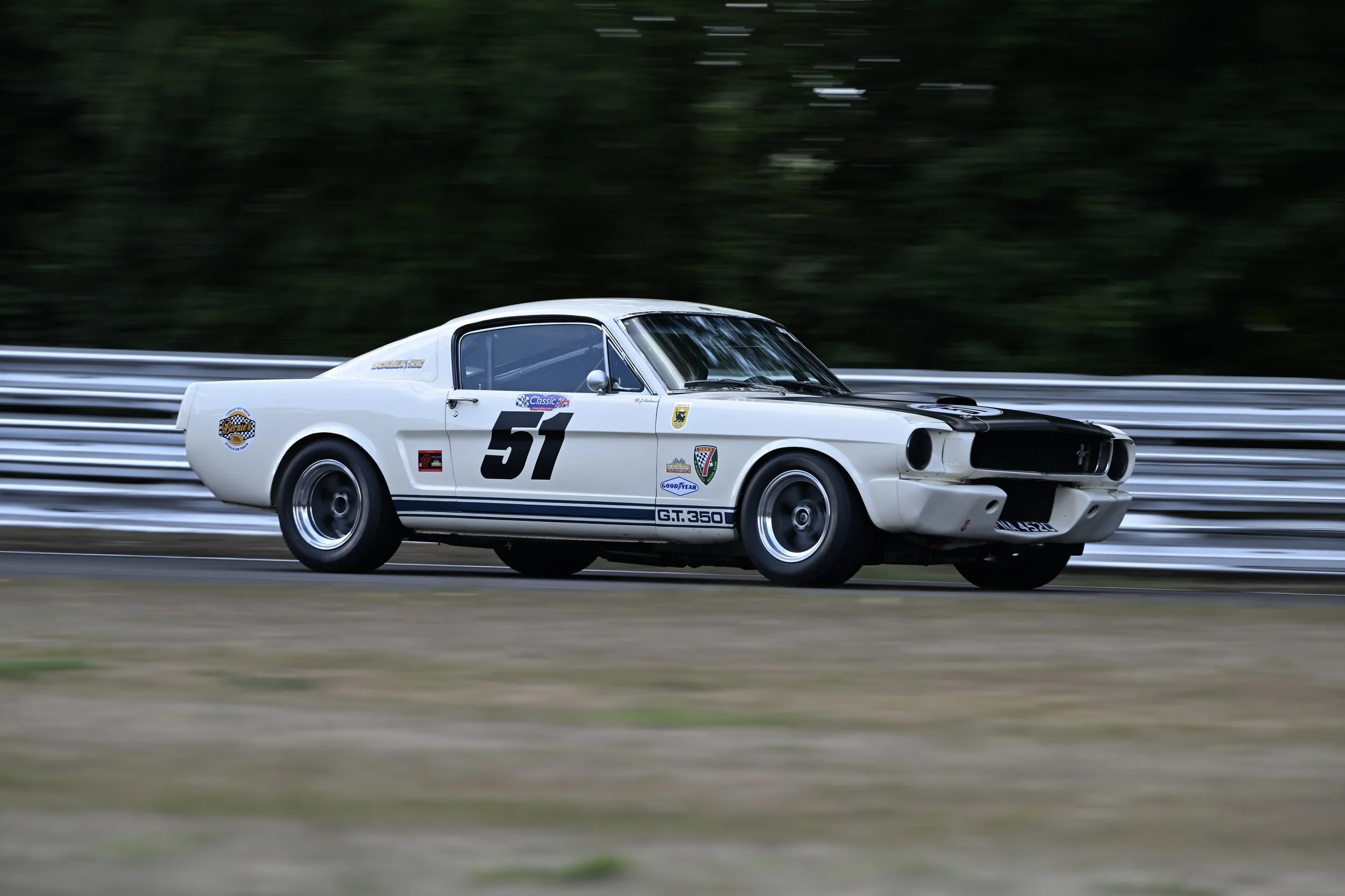 DSC_9220.JPG