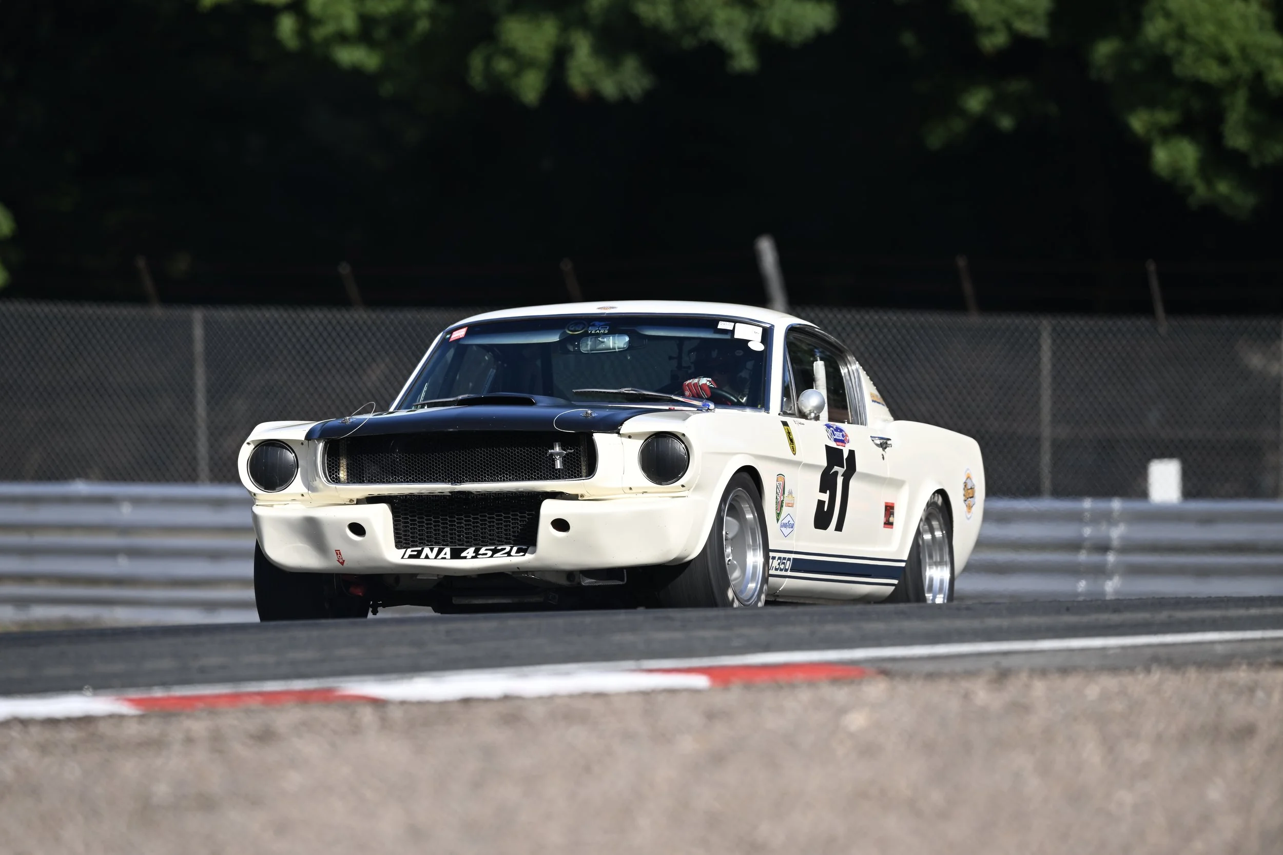 DSC_8525.JPG