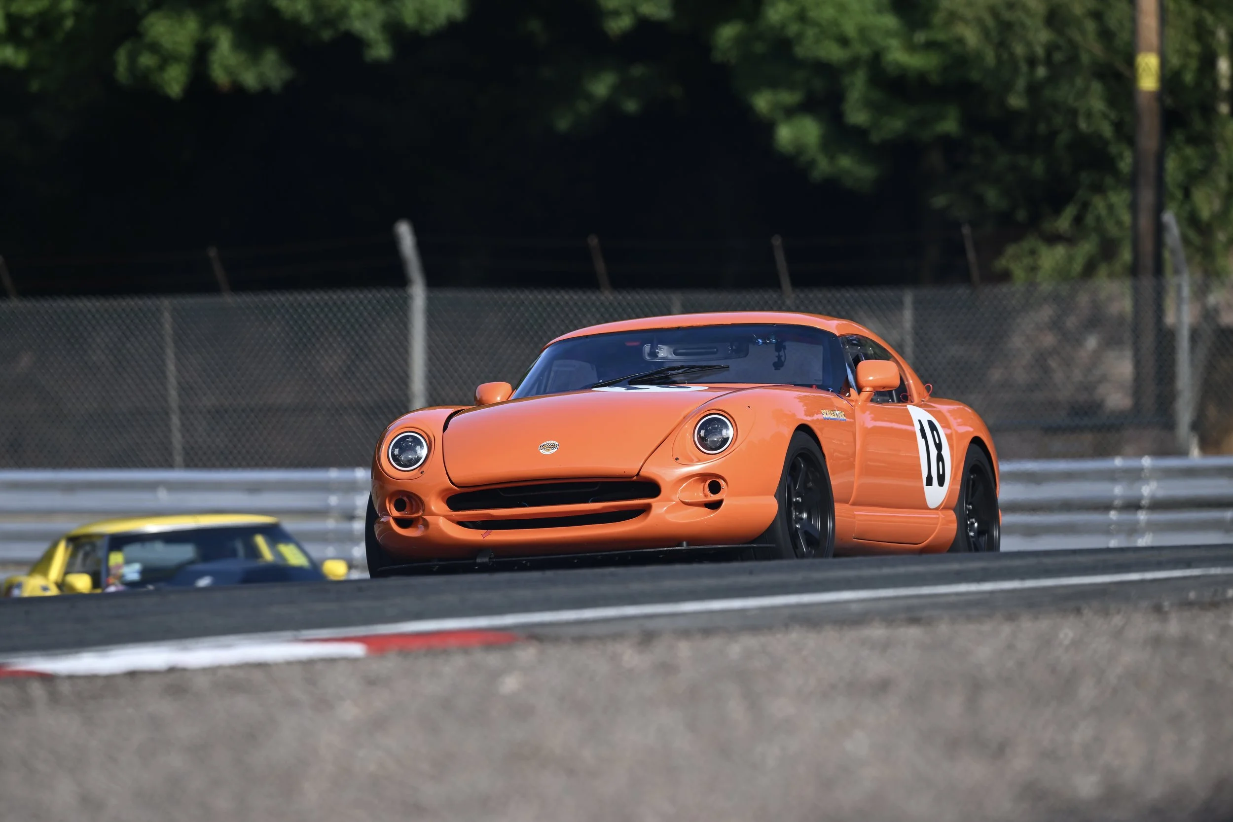 DSC_8451.JPG
