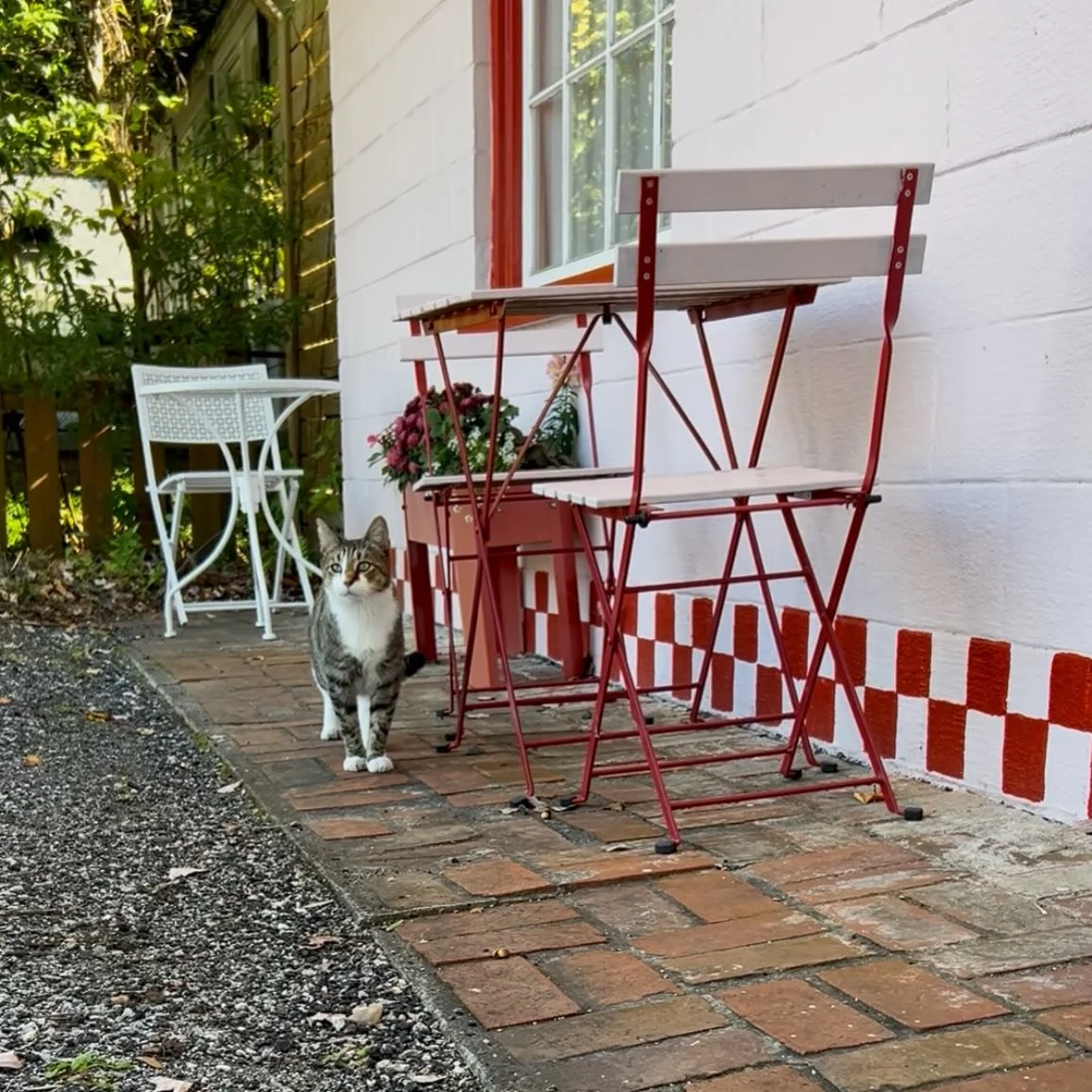 Come hang on our patio this weekend with our shop kitty ❤️🐈 SHOP HOURS: SAT/SUN 8-12 💕