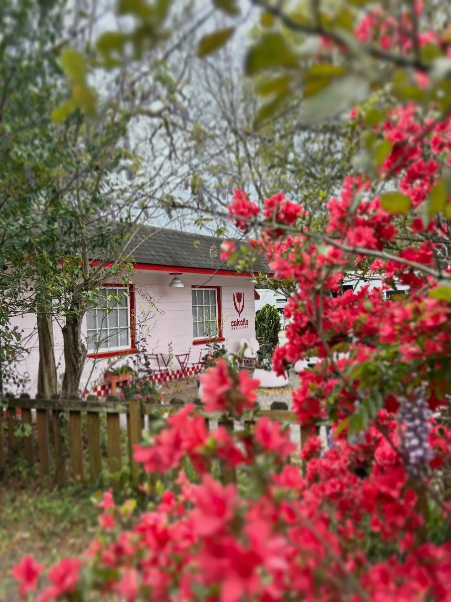 A cozy little plot twist for your week 🤍

We&rsquo;re soft opening this Thursday morning&hellip; which means we&rsquo;re (gently) stepping into being open on Thursdays 🥹🥹🥹

It might look like slow growth, but behind the scenes it&rsquo;s been any