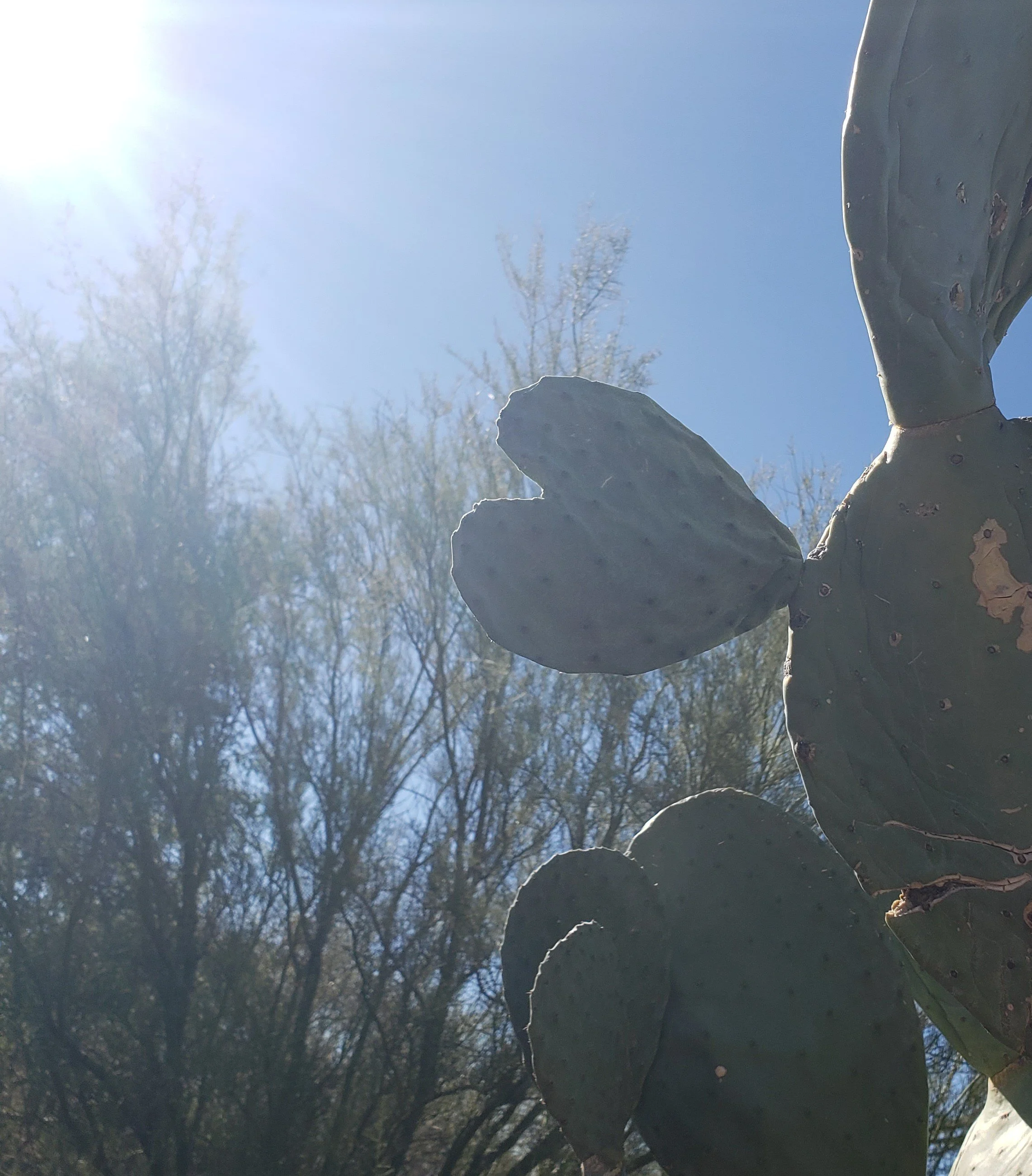 Collaboration for Community - with/at Casa Kira