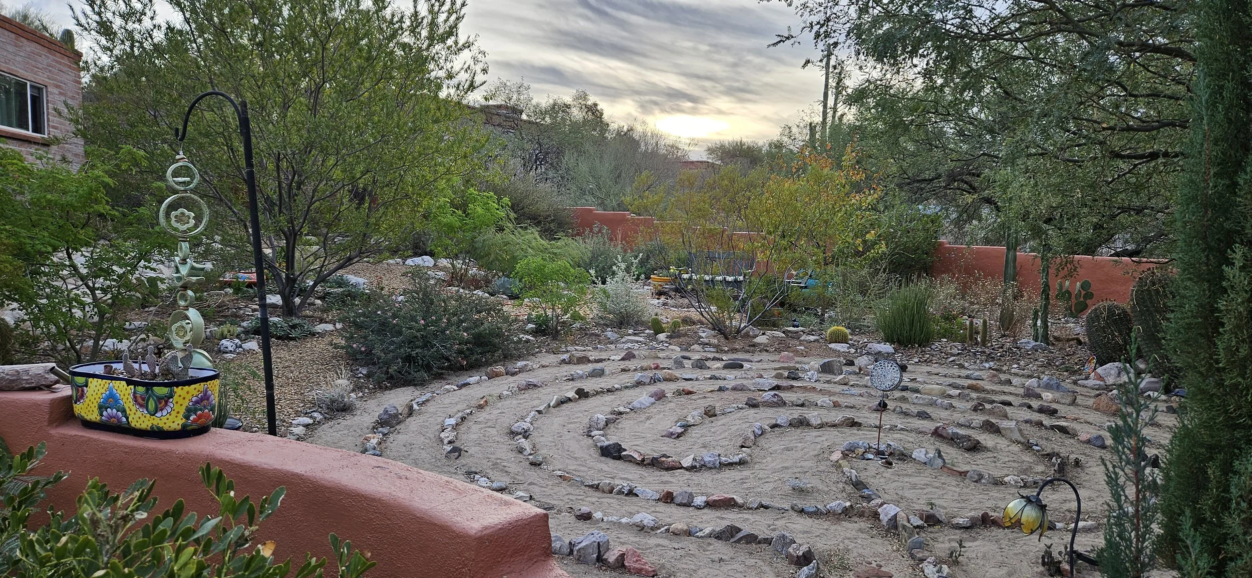 Wild Food Foraging Series