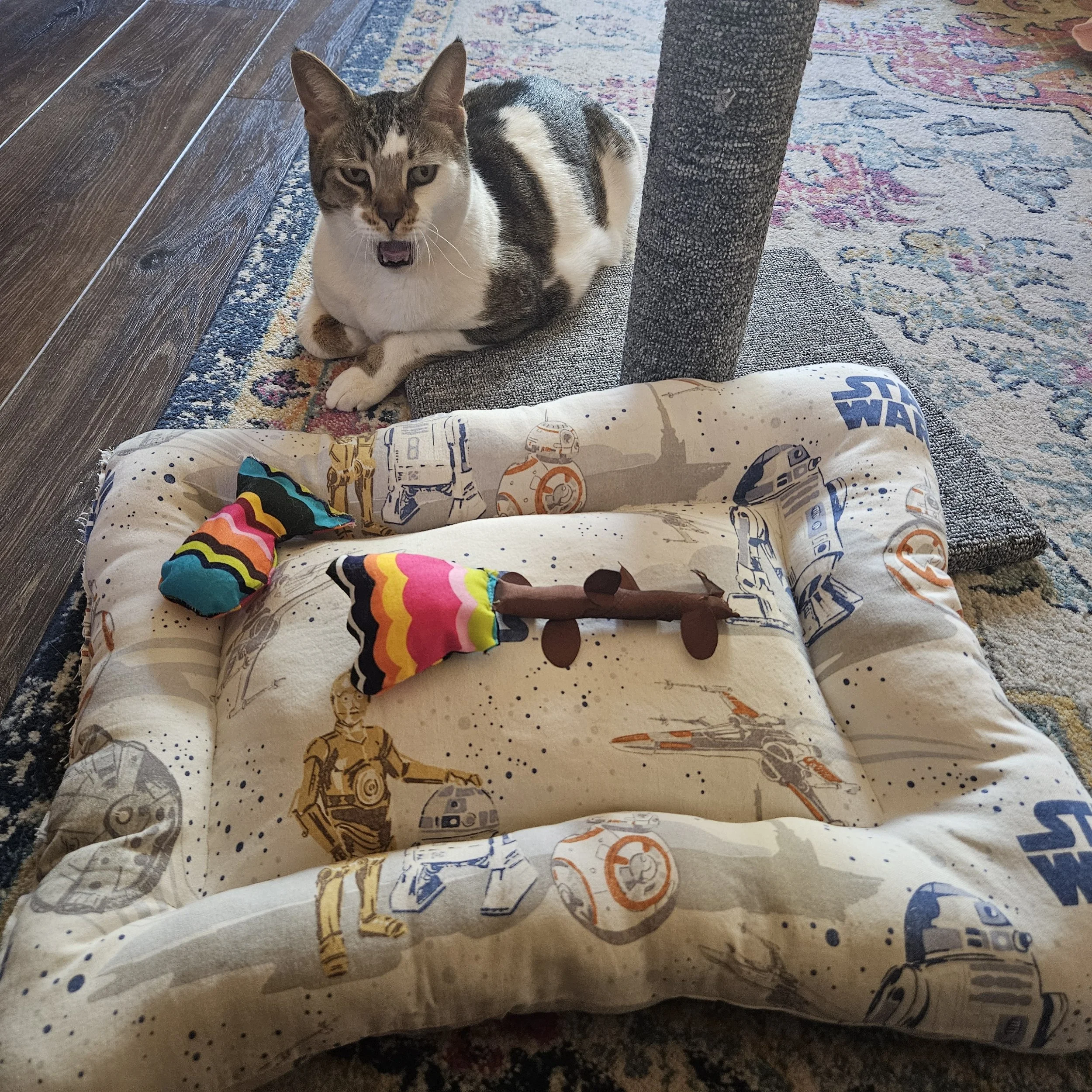 cat bed and toys from free materials