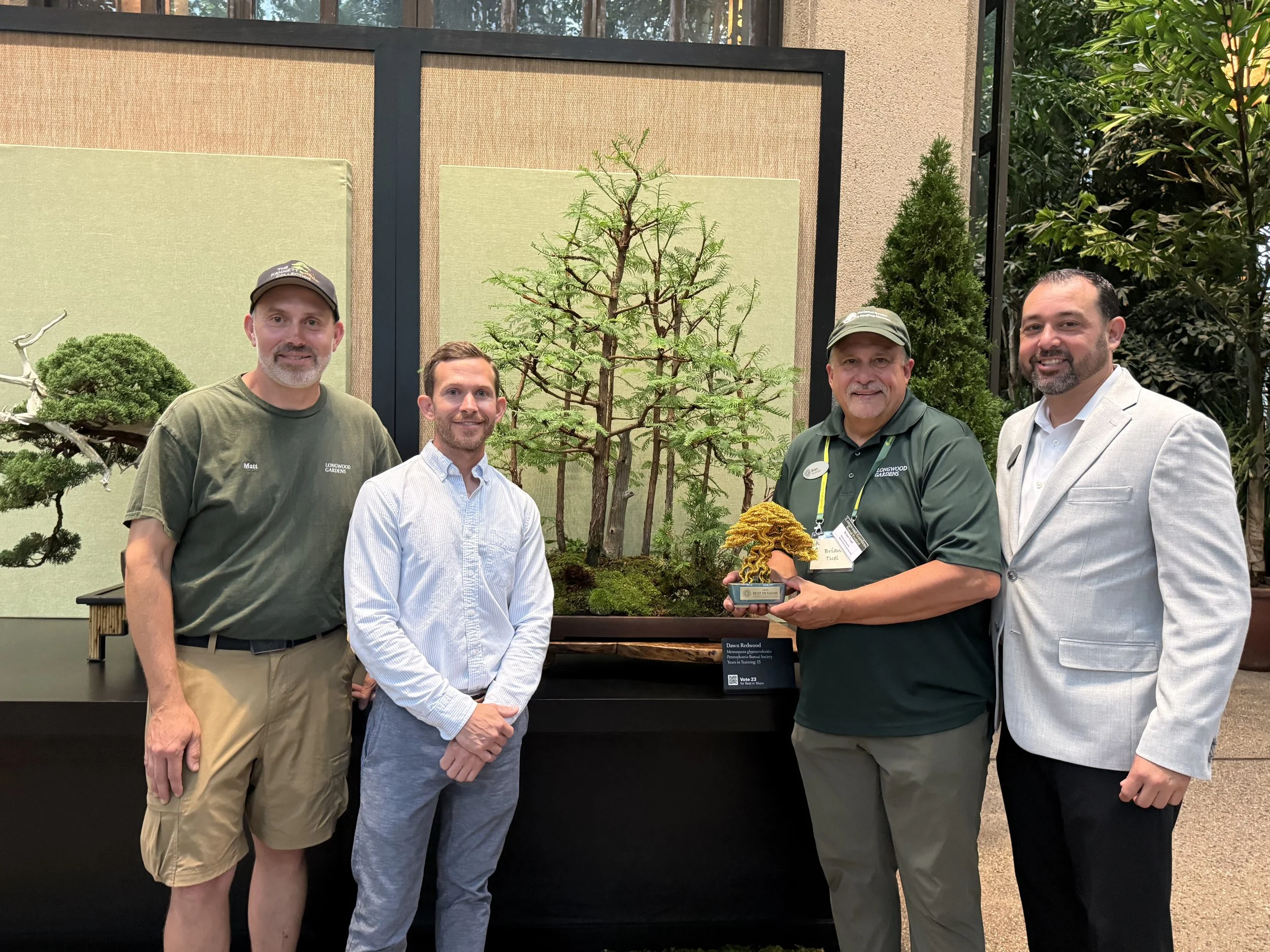 Dawn Redwood Forest Bonsai - Won Best in Show 2026 Longwood Gardens Bonsai Festival