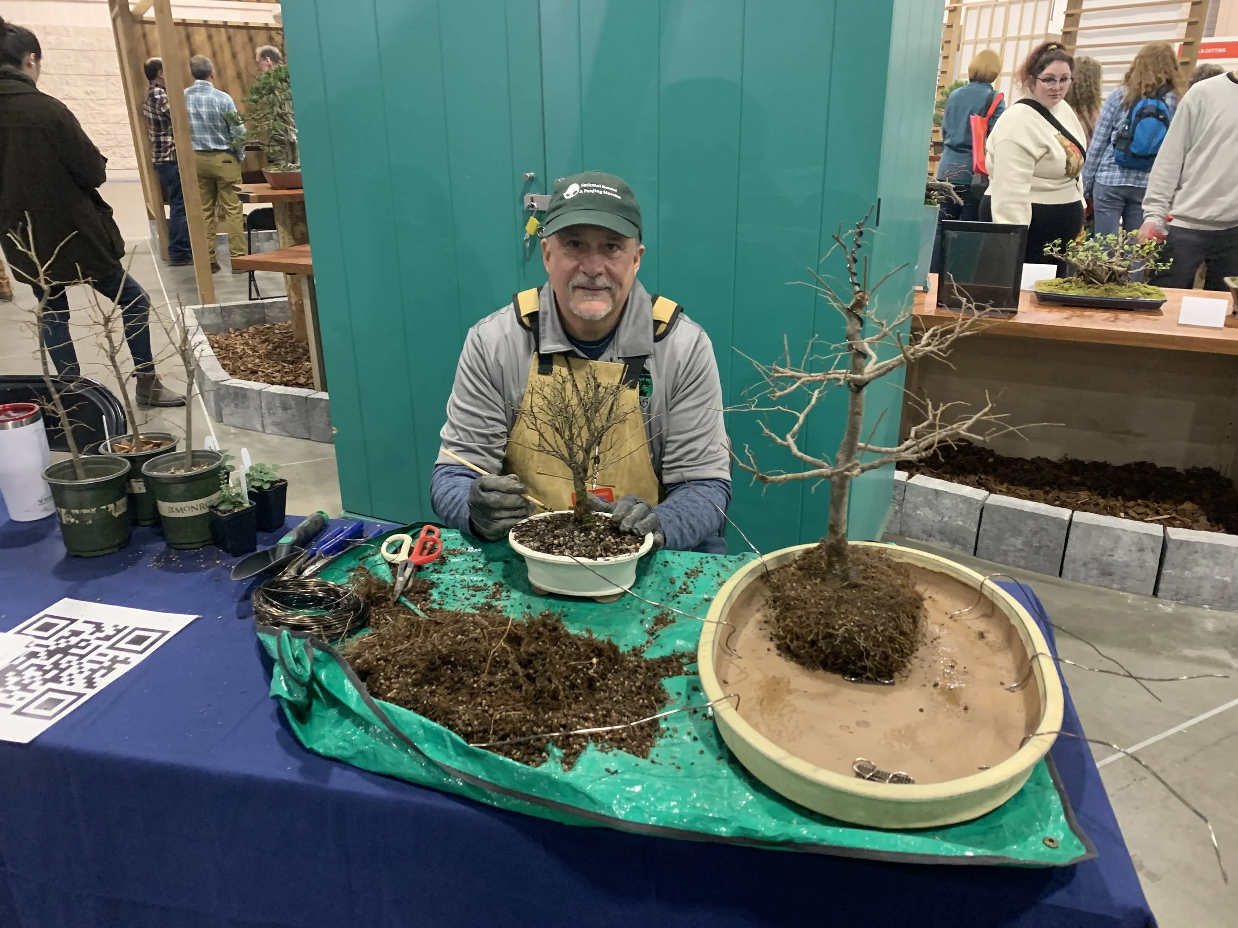 Demo at 2026 Philadelphia Flower show - Zelkova Elm Forest Group Bonsai
