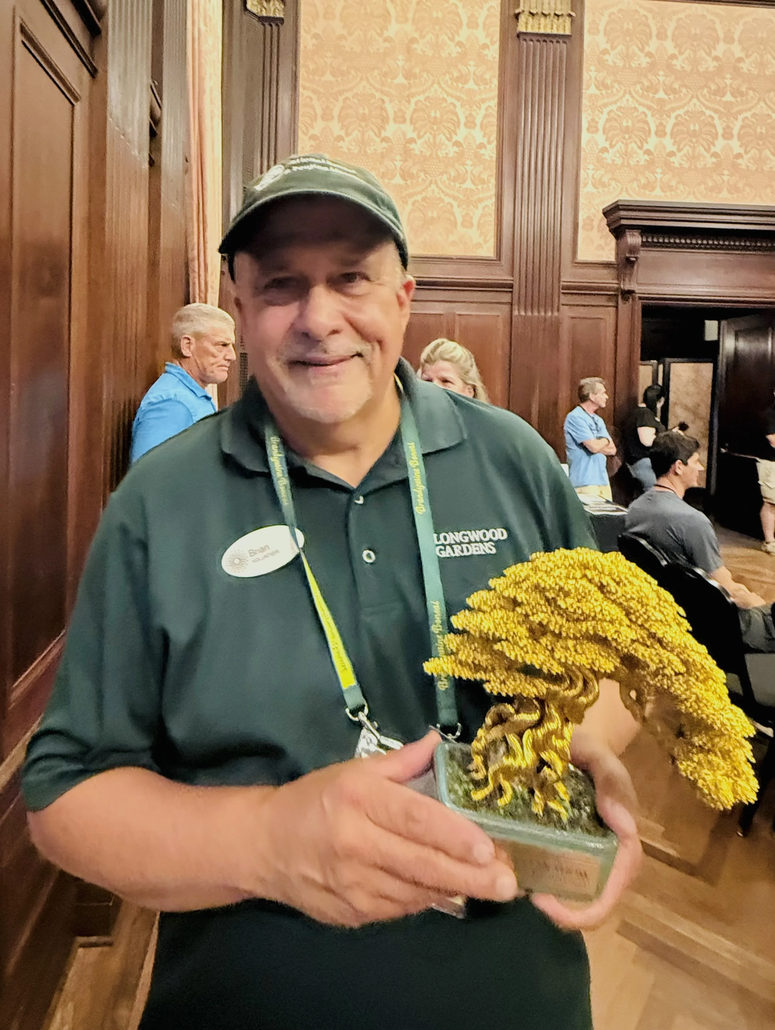 2026 Longwood Gardens Bonsai Festival -Dawn Redwood Forest Bonsai - Won Best in Show 2026 Longwood Gardens Bonsai Festival