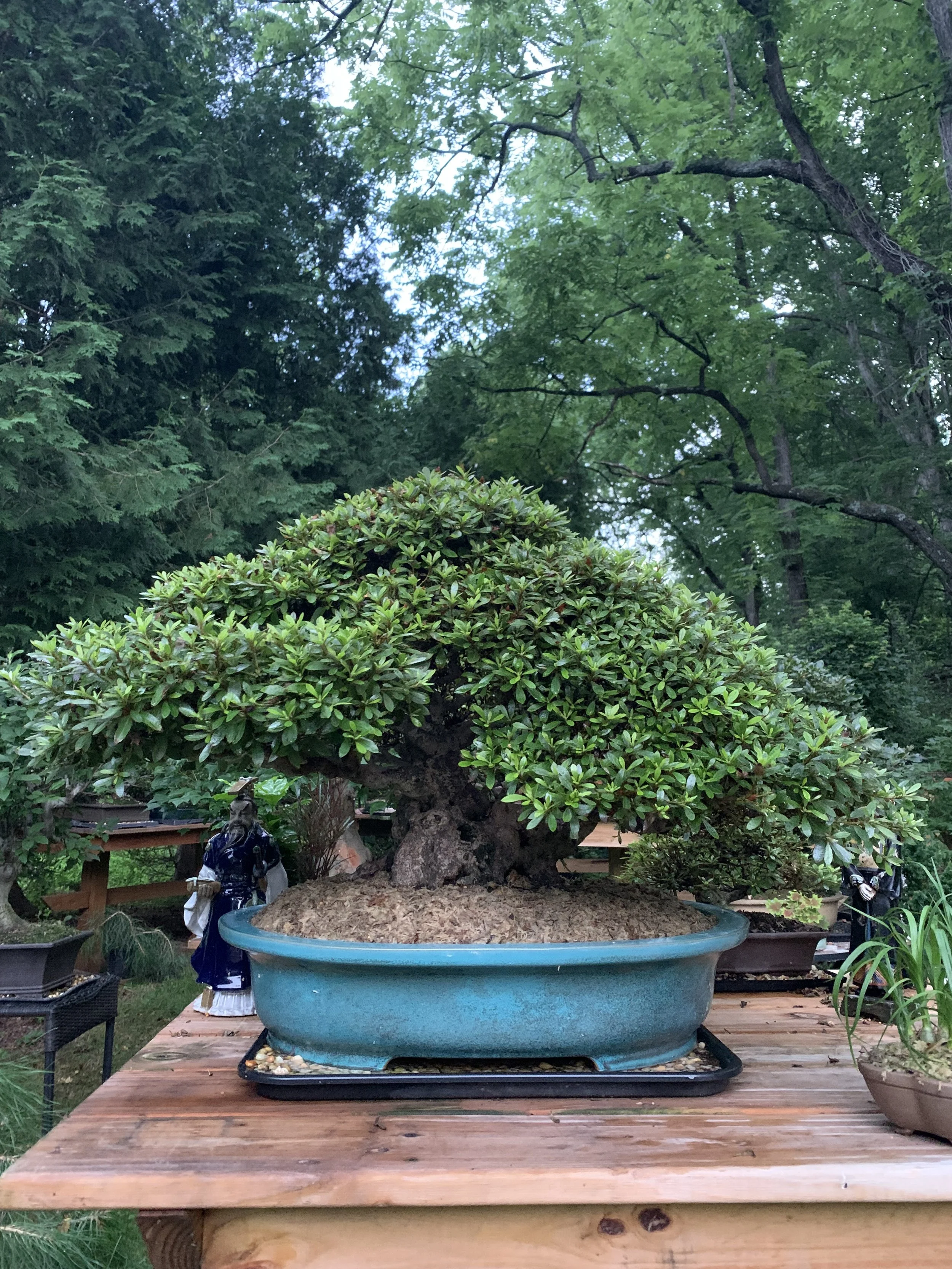 IMG_3980.jpeg