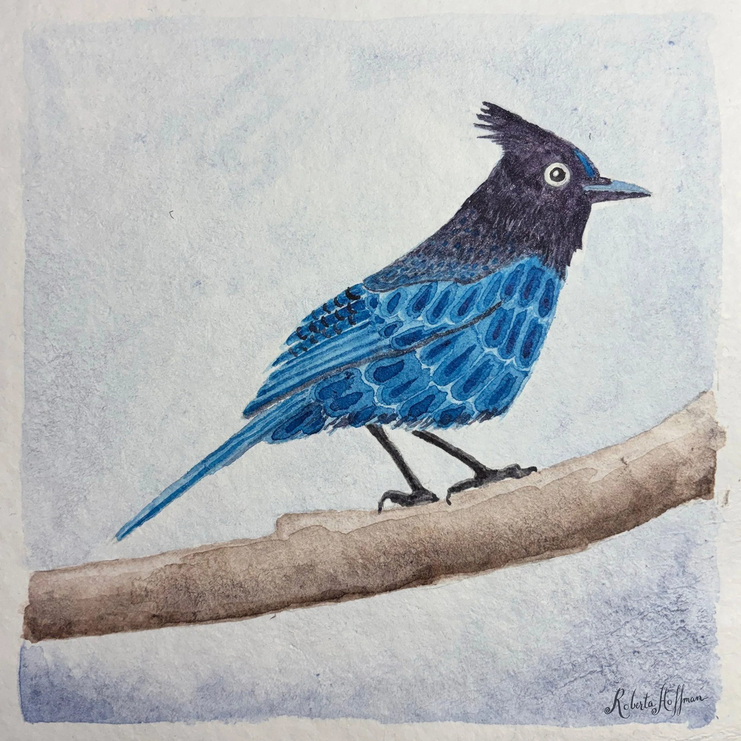 2026 05 10 Mountain Bird _squarespace thumbnail.jpg