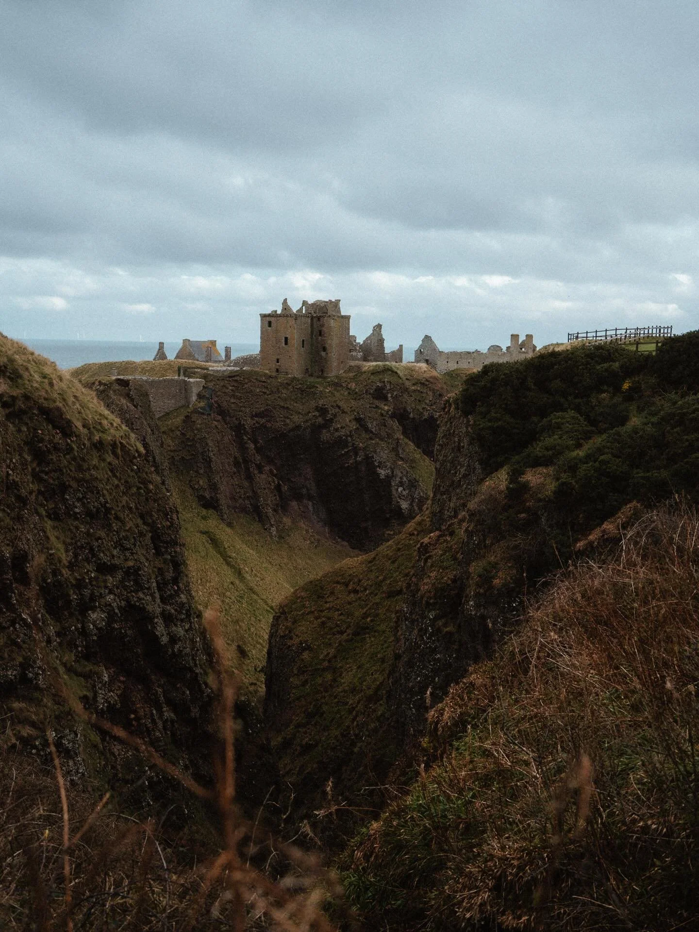 Its a rainy day in Pizzaville ☔️