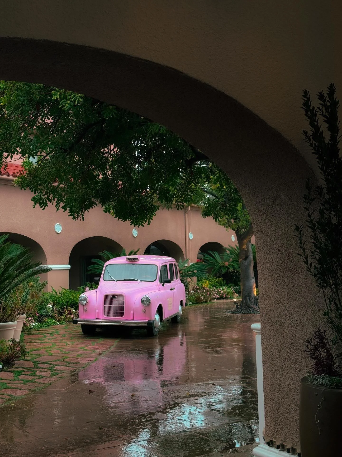 LOL January 2026 dump in March 👌🏻 

1 - cute 
2 - the grandaddy of them all 
3 - new shed!!!!
4 - shooting w/ @danfrankel.pt 
5 - new shed at sunrise 
6 - a trapped peeb 
7 - new employee 
8 - new shed in da snow 
9 - forever brunch date 
10 - bedt