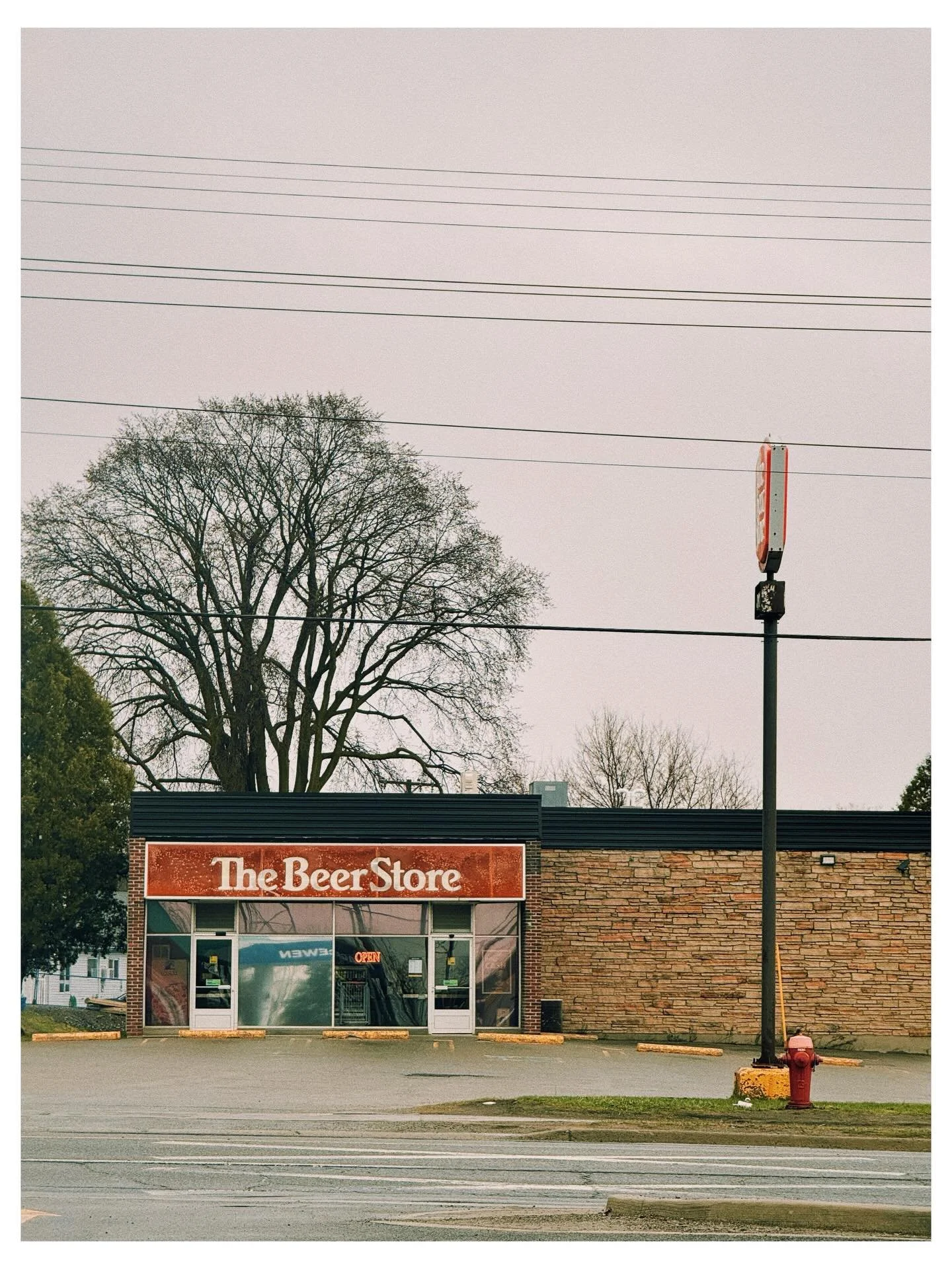 Old Beer Store Branding >