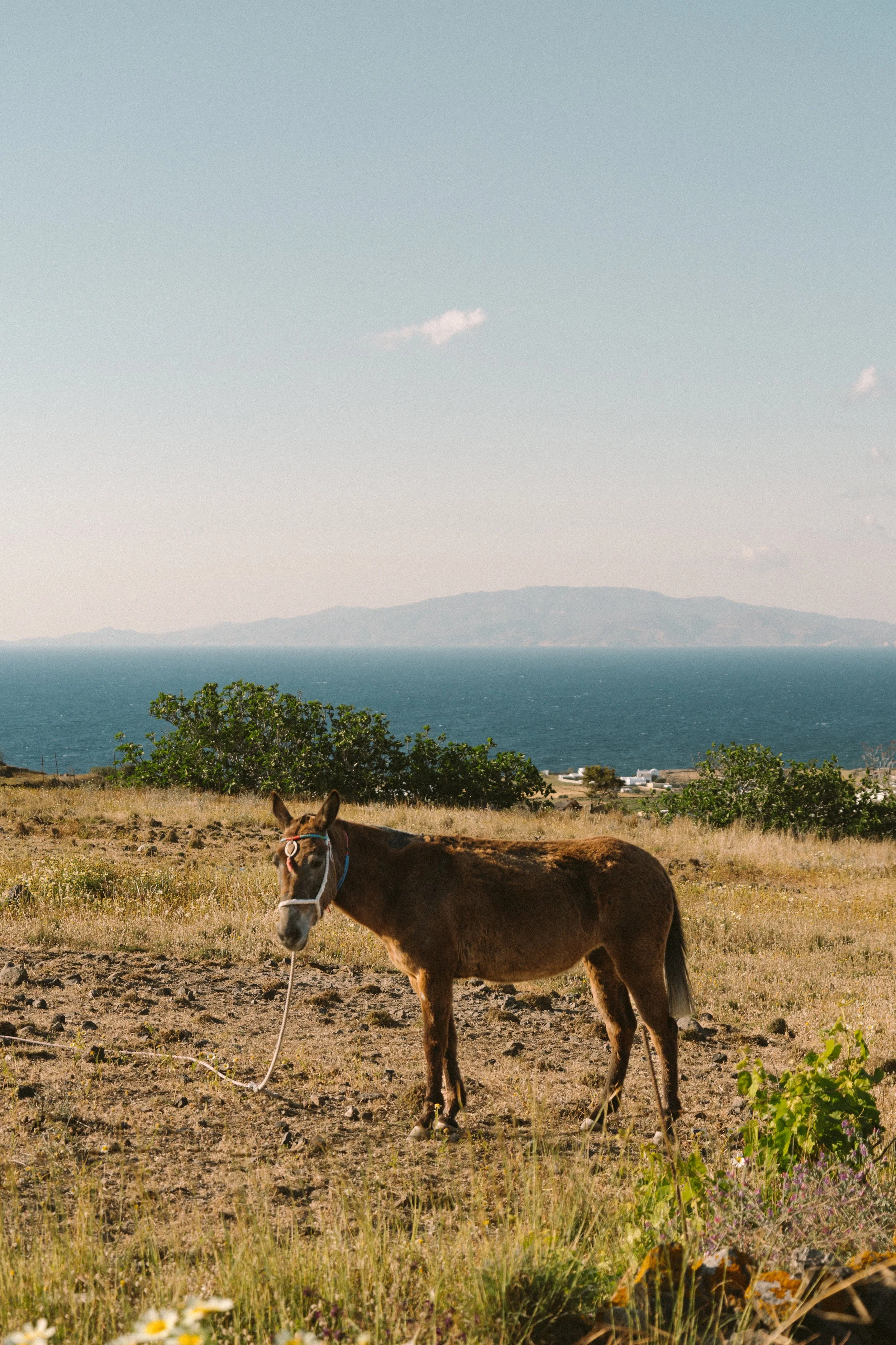 Santorini-63.jpg