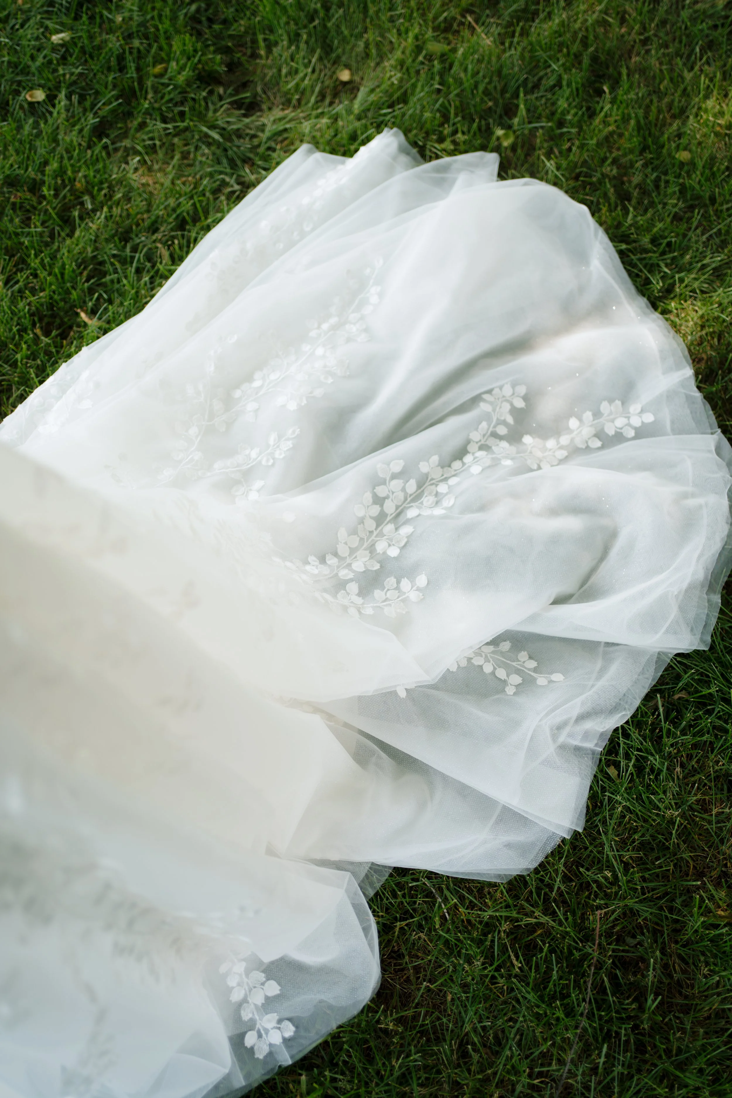 bryanneelisabethphoto-198.jpg