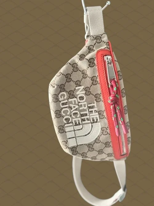 The North-face Gucci limited edition