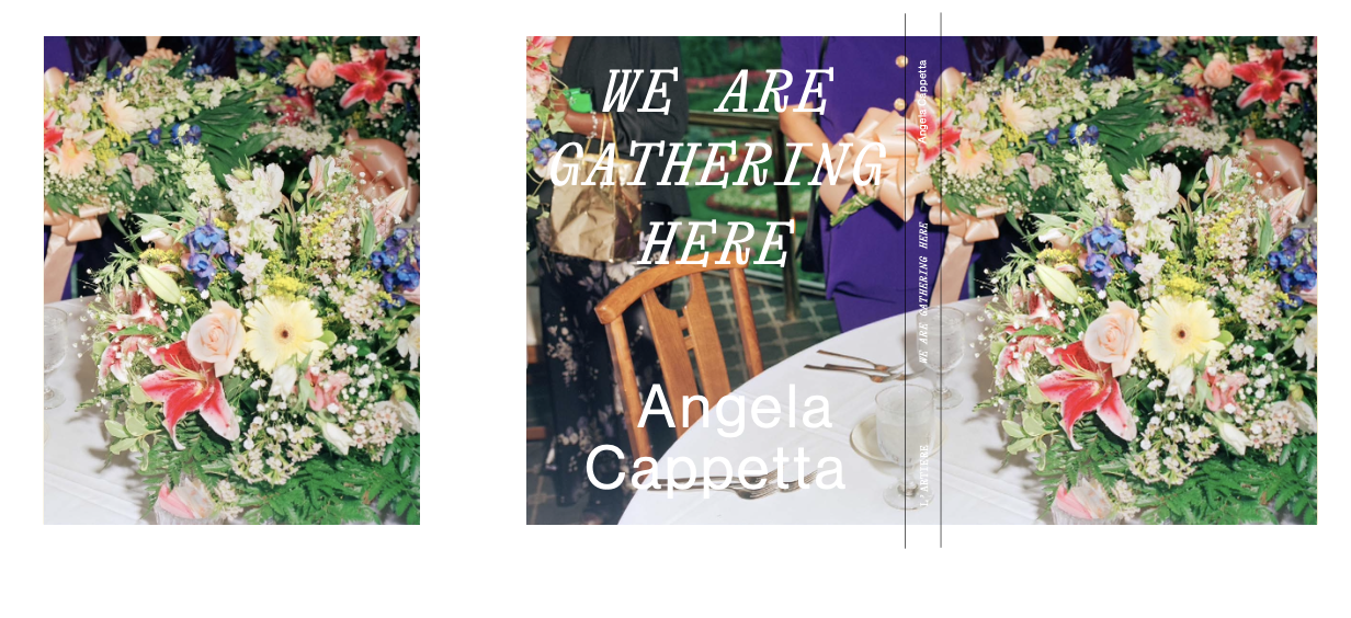 Research or Curatorial Dossier.