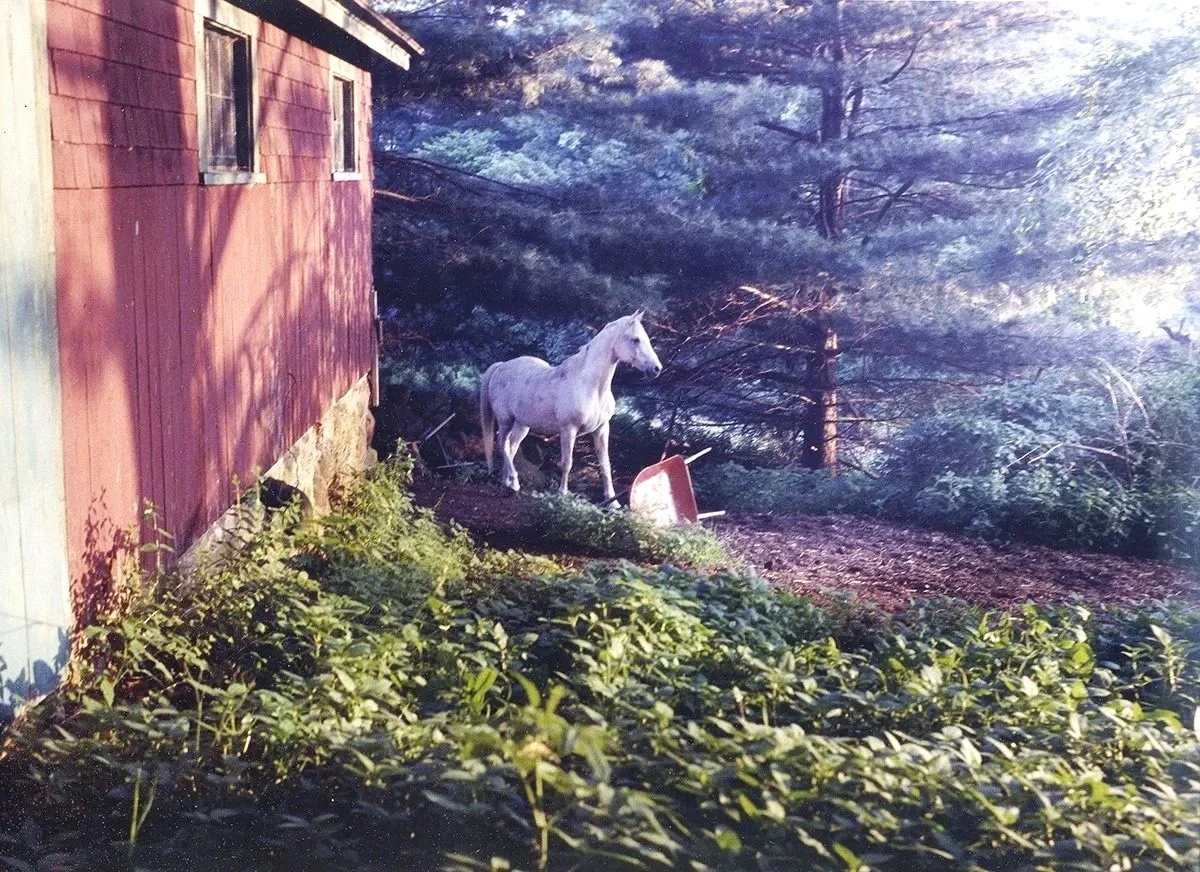 Landscape Film Photography