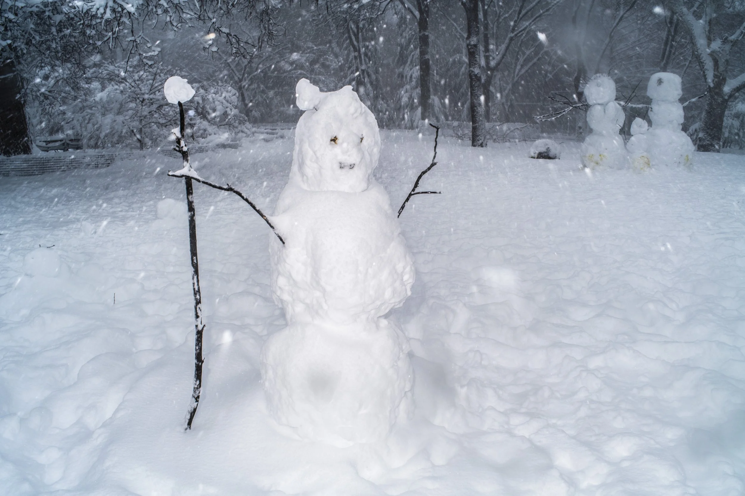 Flash-Lit Snowman During Blizzard
