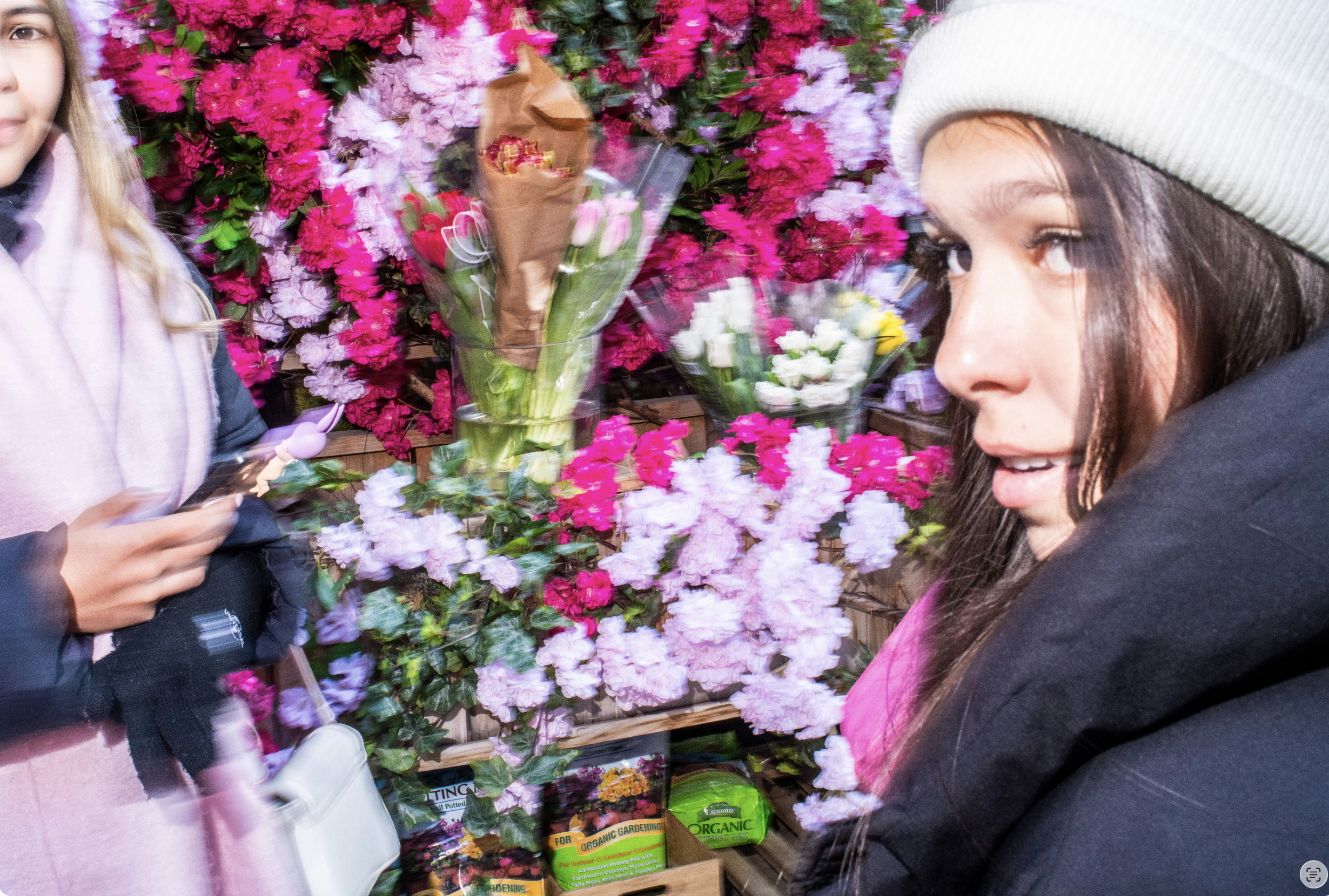 Valentine’s Day/Photo Walk /Wanderings