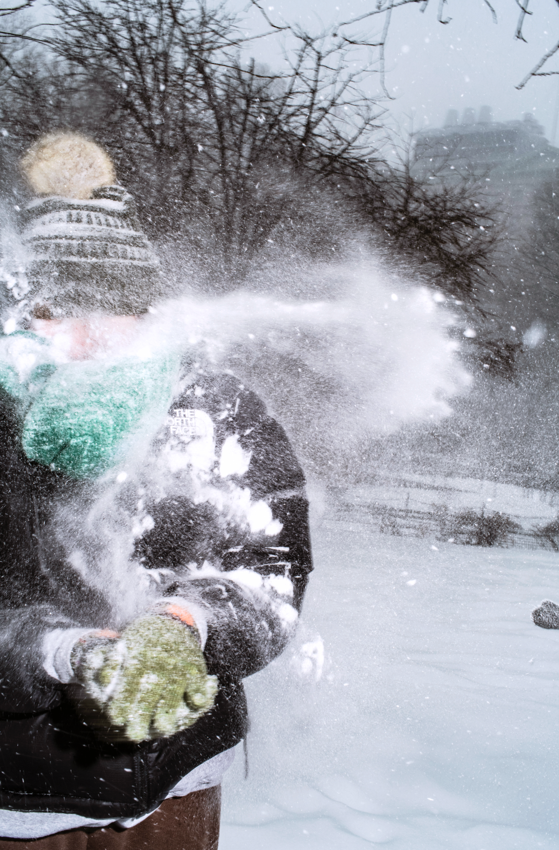 Screenshot 2026-02-02 at 11.12.07 AM.png