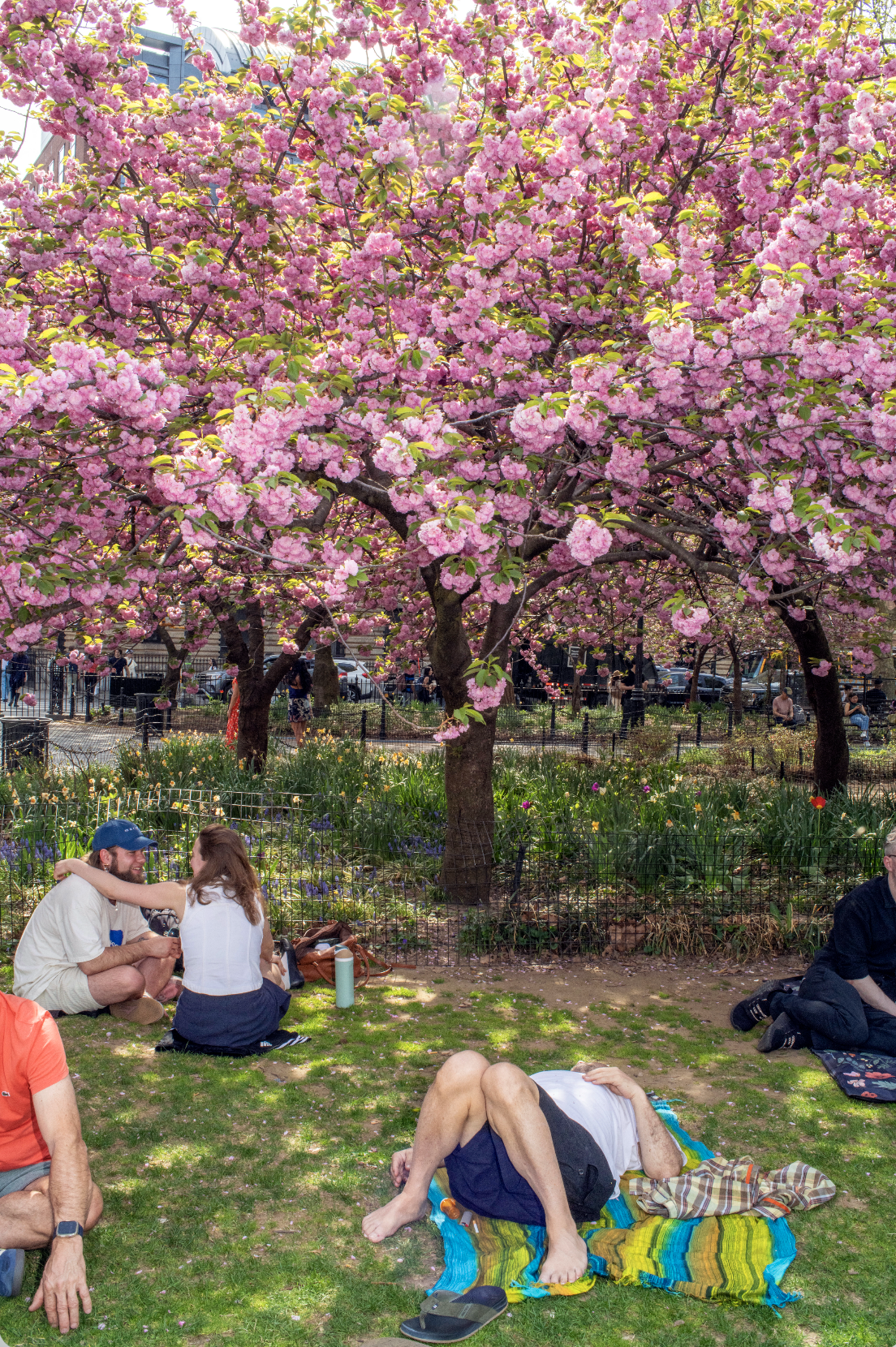 Screenshot 2026-04-18 at 9.00.21 AM.png