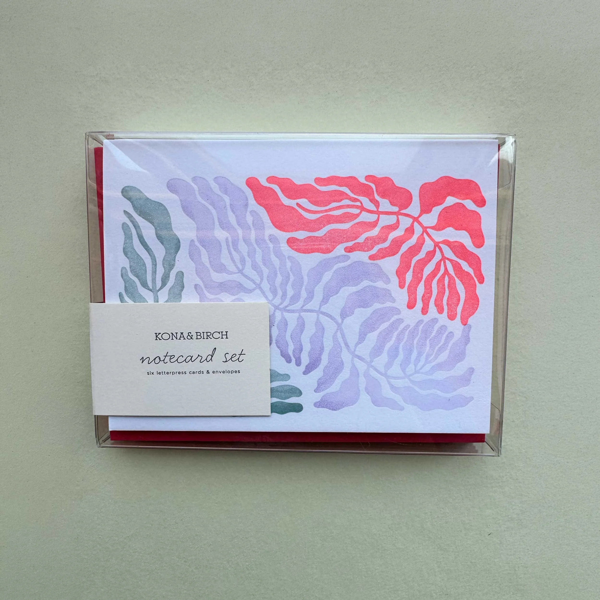 Drift & Tide: Coral Forms Notecard Set (2)