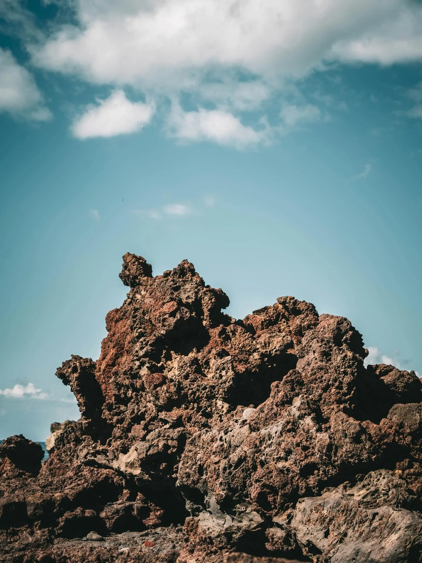 📍 Kanaren / Canary Islands
📸 Sonya7c2, Tamron50-400