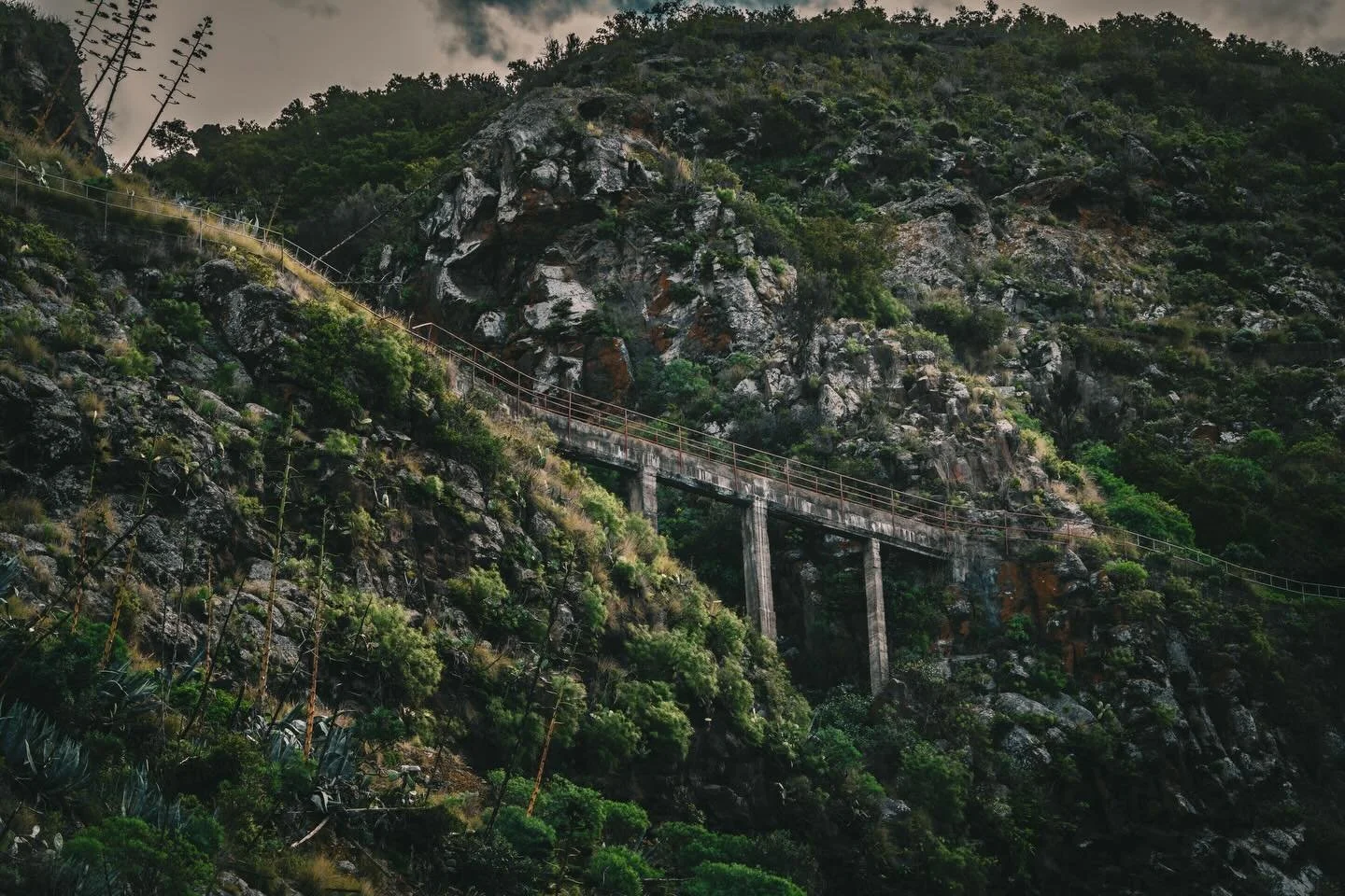 📍Kanaren / Canary Islands
📸 Sonya7c2, Tamron 50-400