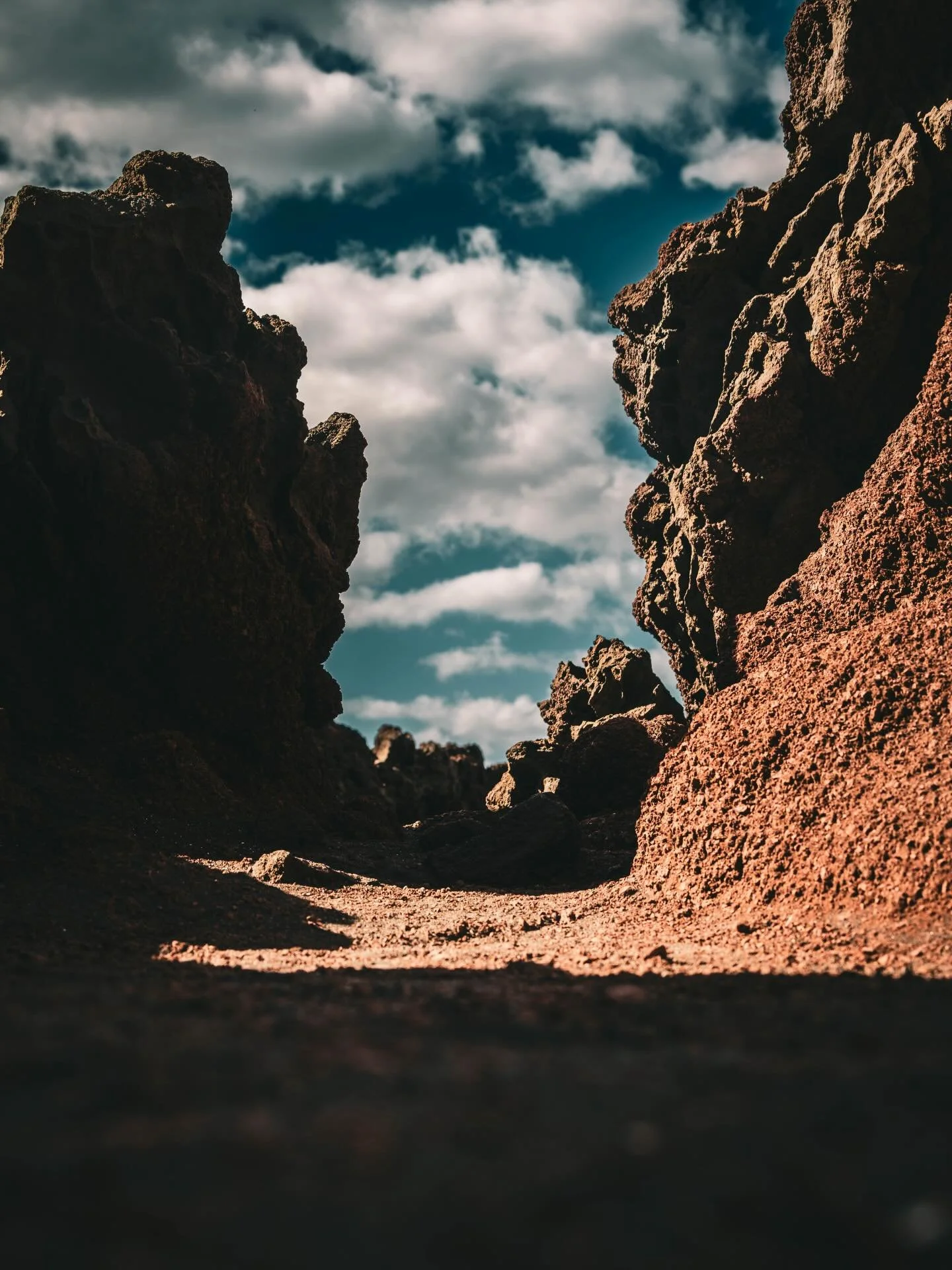 📍 Kanaren / Canary Islands
📸 Sonya7c2, Tamron50-400