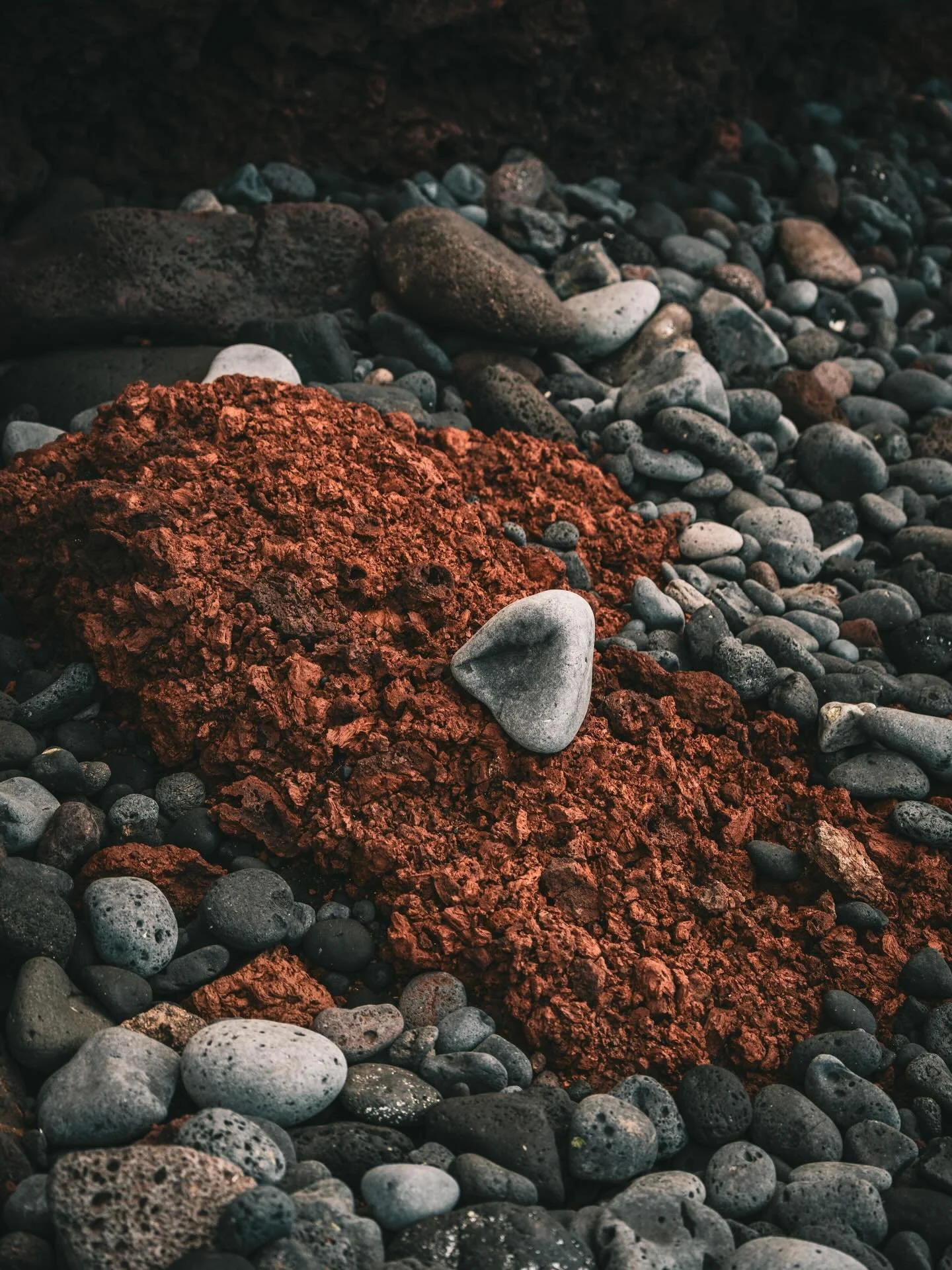 📍 Kanaren / Canary Islands
📸 Sonya7c2, Tamron50-400