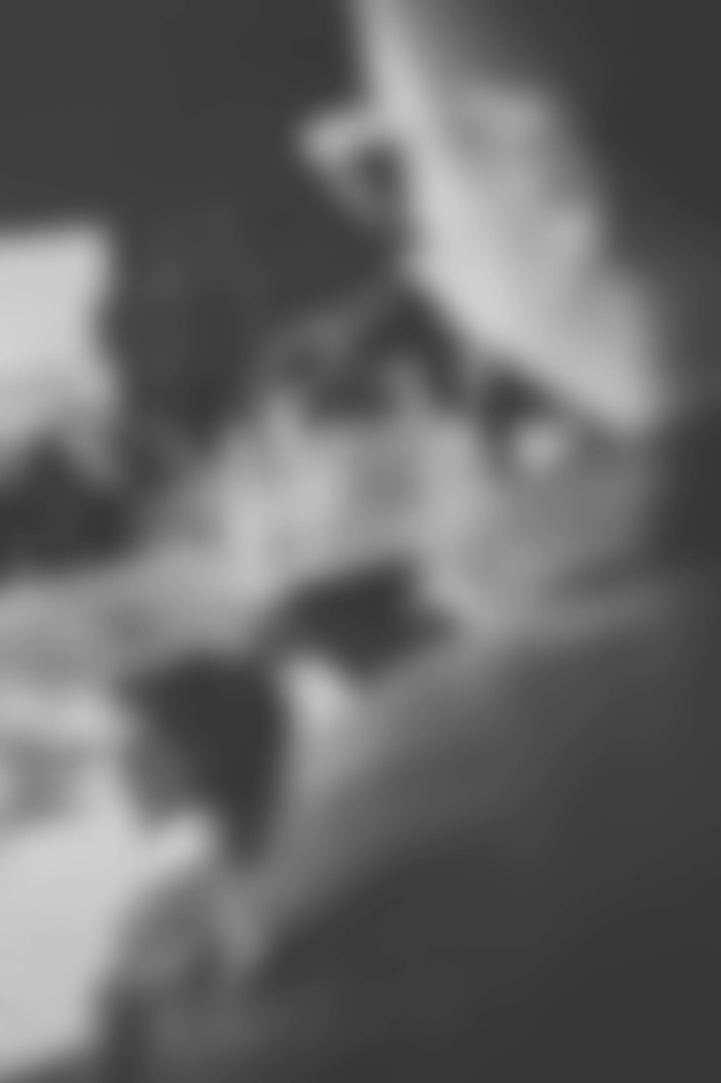 Die SW-Filmentwicklung