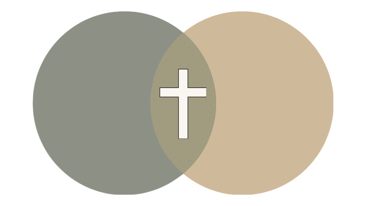 The Job Project: Mental Health and the Gospel