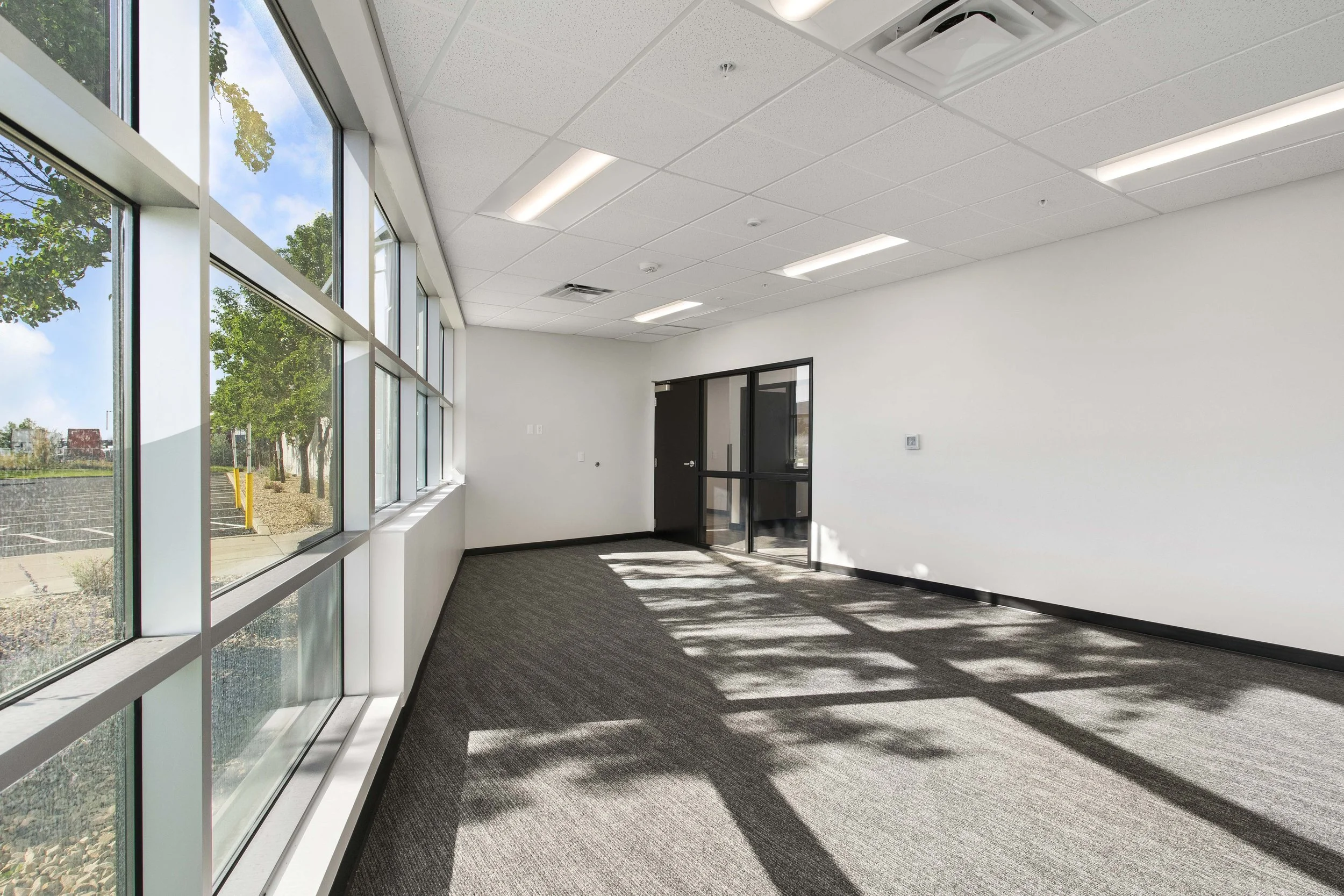 Empty office room with large windows, gray carpet, white walls, and glass door, bathed in sunlight.