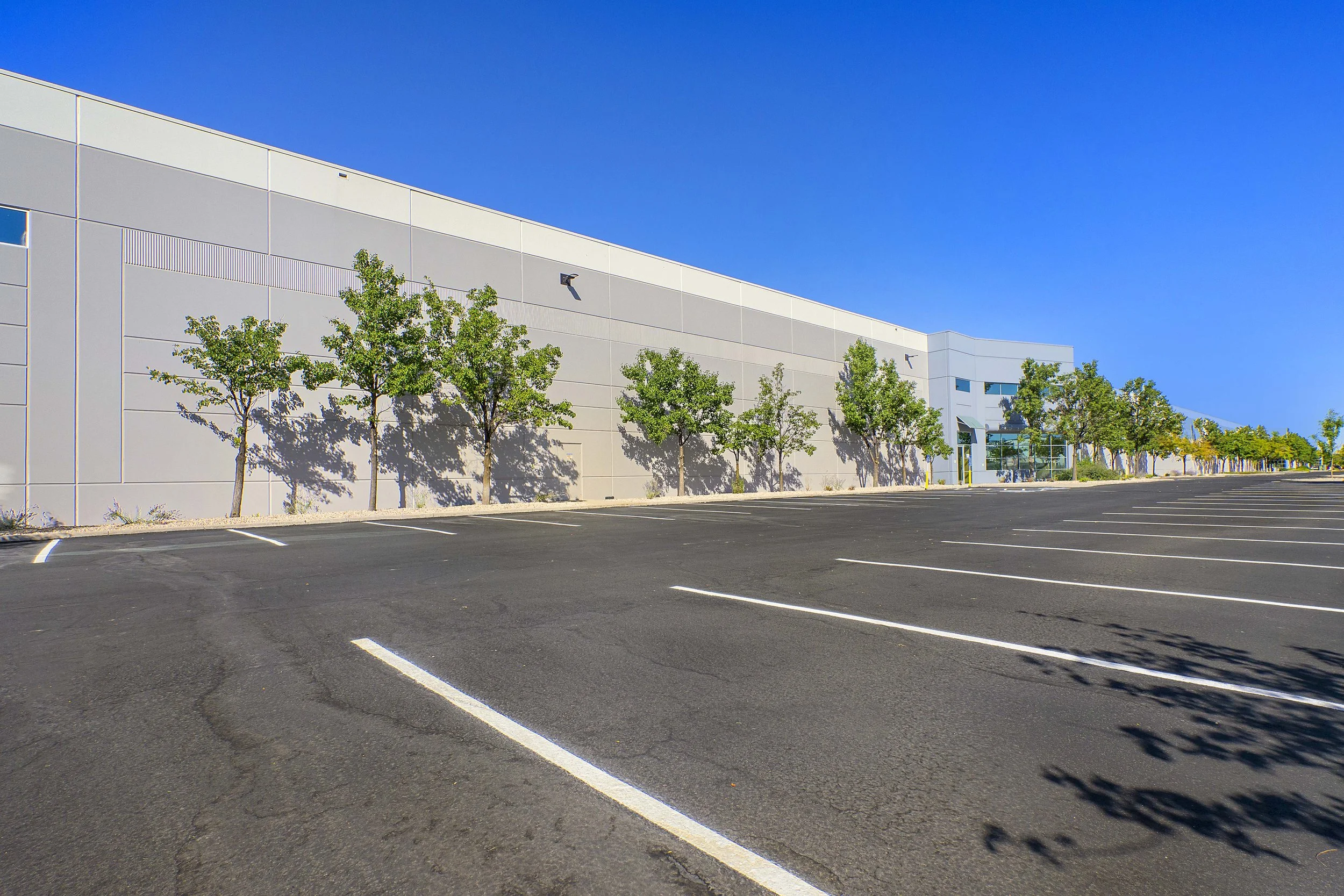 Empty parking lot with marked spaces, trees along a large industrial or retail building, clear blue sky.