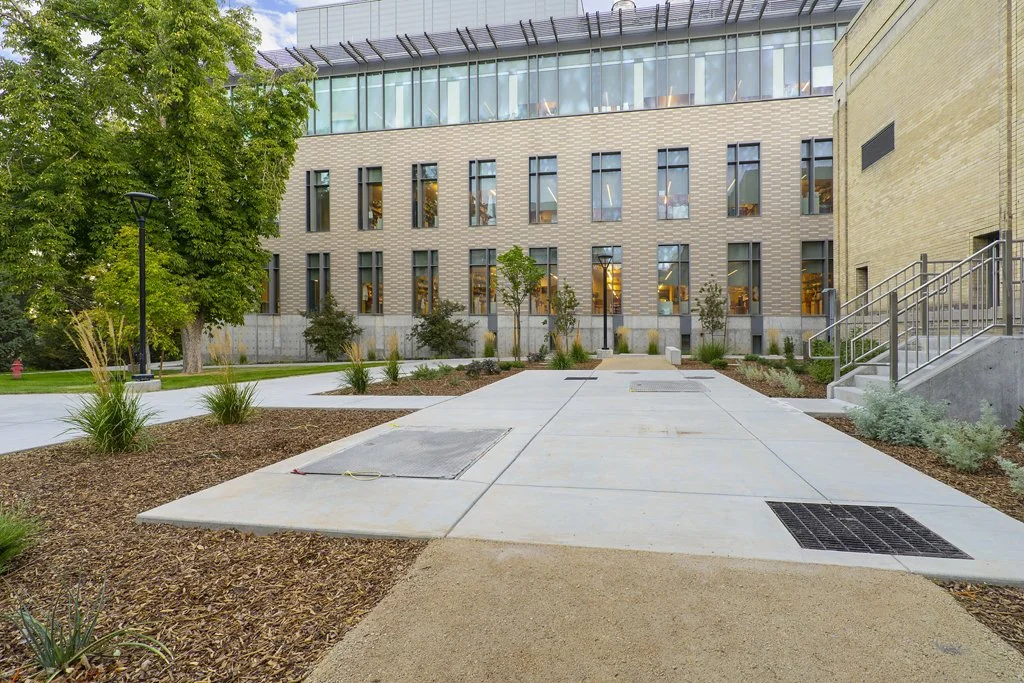 Modern outdoor walkway with concrete paving, landscaped garden beds, trees, and a building with large windows and a glass upper floor.