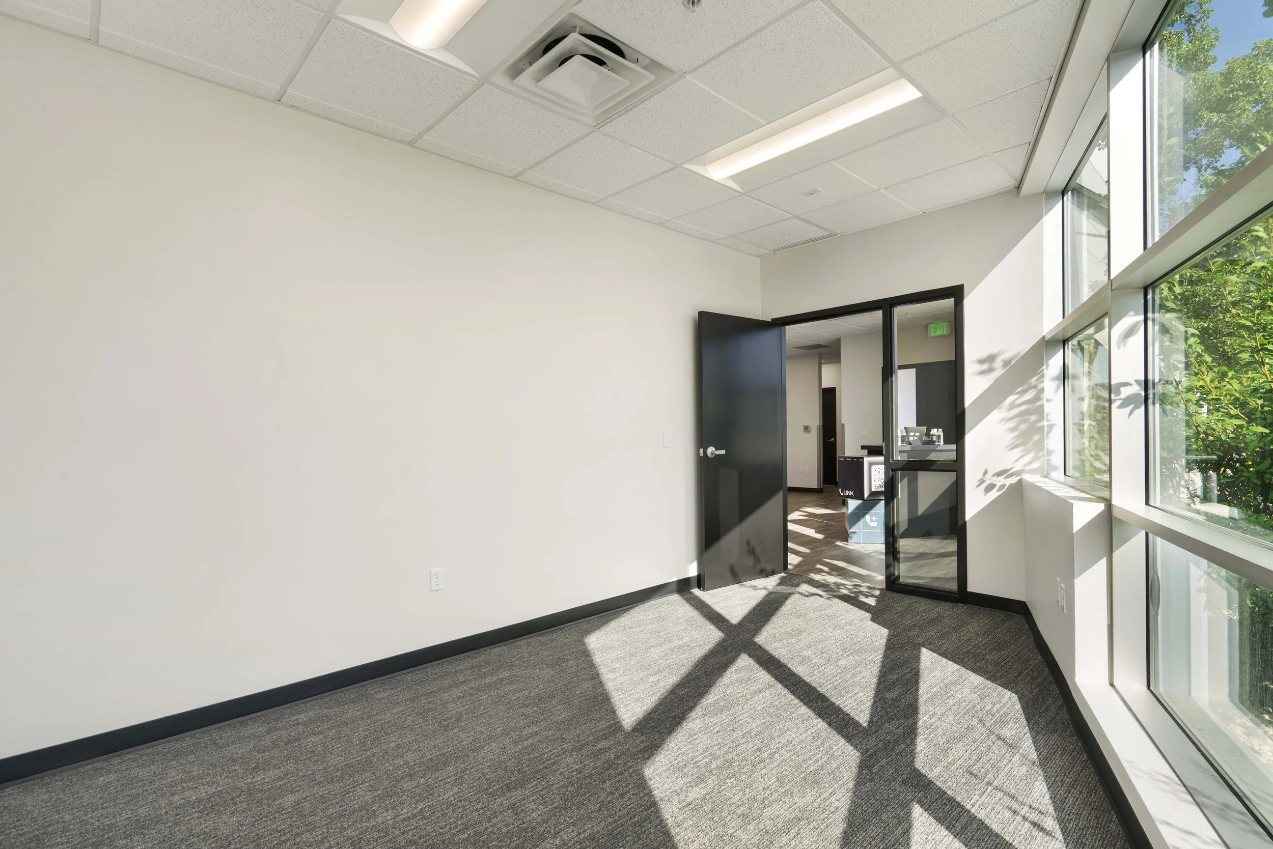 Empty office room with large windows allowing sunlight and a view of green outdoor trees, open black door, gray carpeted floor, white walls, and ceiling with rectangular fluorescent lights.