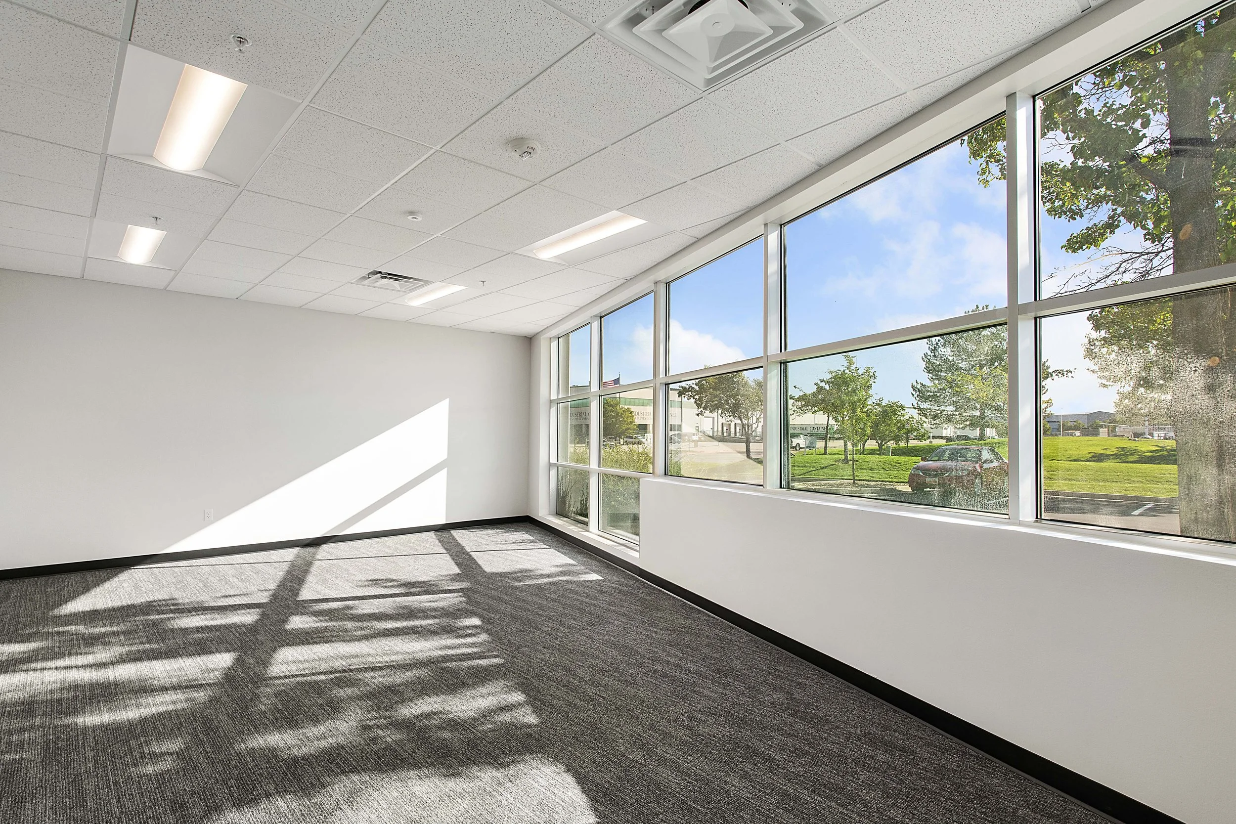 Empty room with large windows showing a grassy outdoor area and parked car, white walls, ceiling with fluorescent lights, and dark carpeted floor.