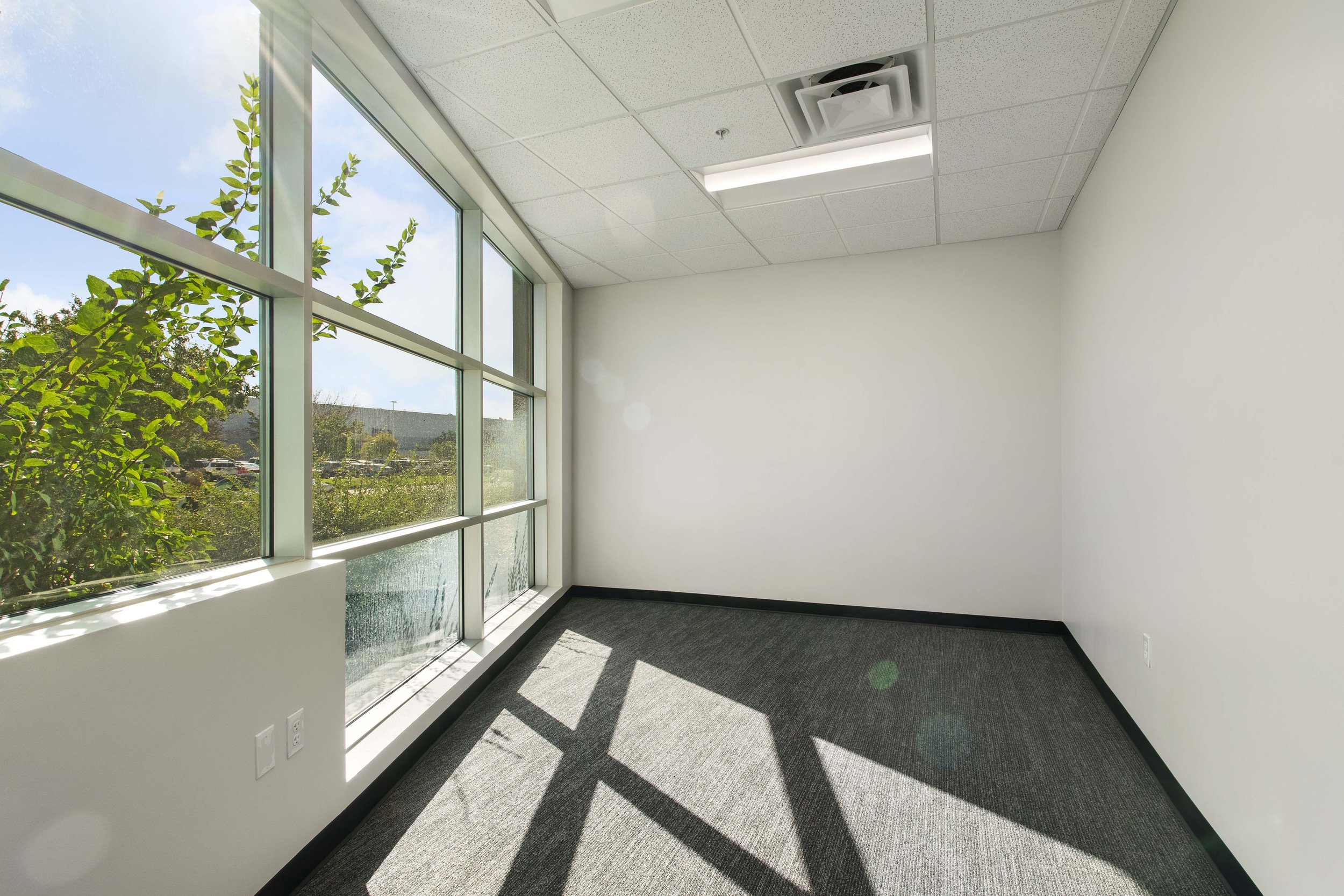 Empty office room with large windows allowing sunlight, white walls, and gray carpeted floor.
