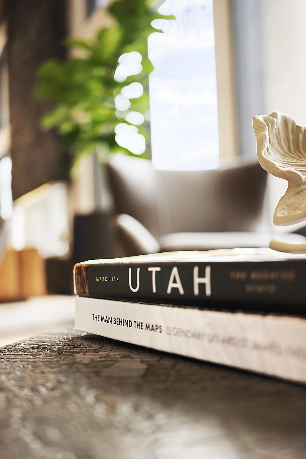 Close-up of two stacked books on a wooden surface, with titles "Utah" by Mark Lisk and "The Man Behind the Maps". In the background, a living room with a window, green plant, and decorative shell.