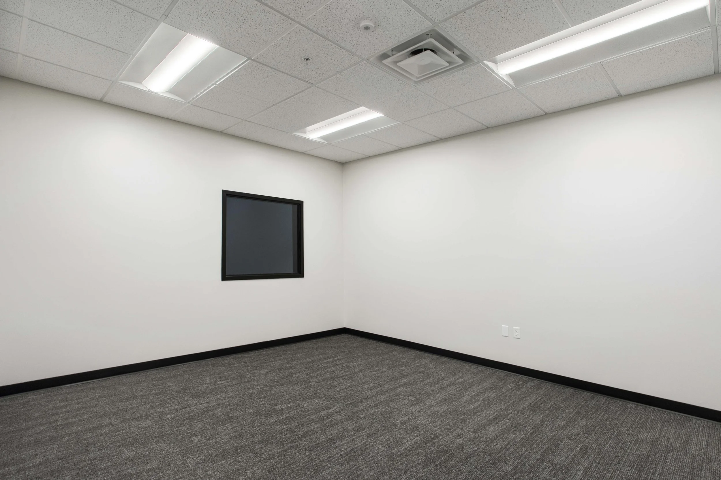Empty office room with white walls, a gray carpet, a black-framed window, and fluorescent ceiling lights.