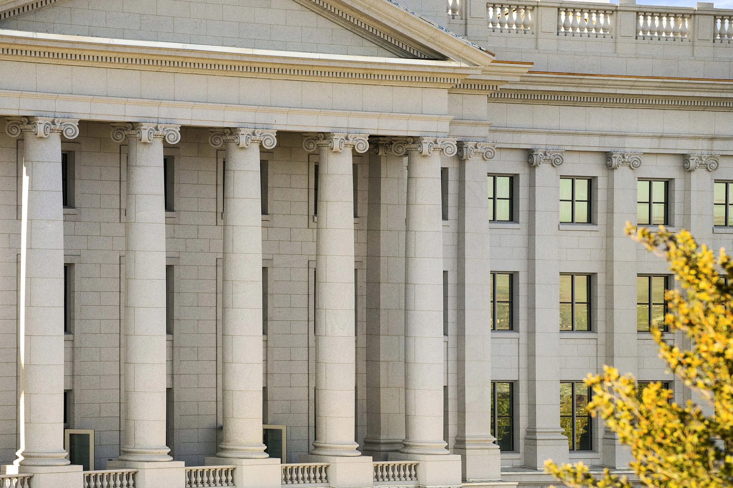 Close-up of a neoclassical architectural building with large columns and several windows, with a tree with yellow leaves in the foreground.