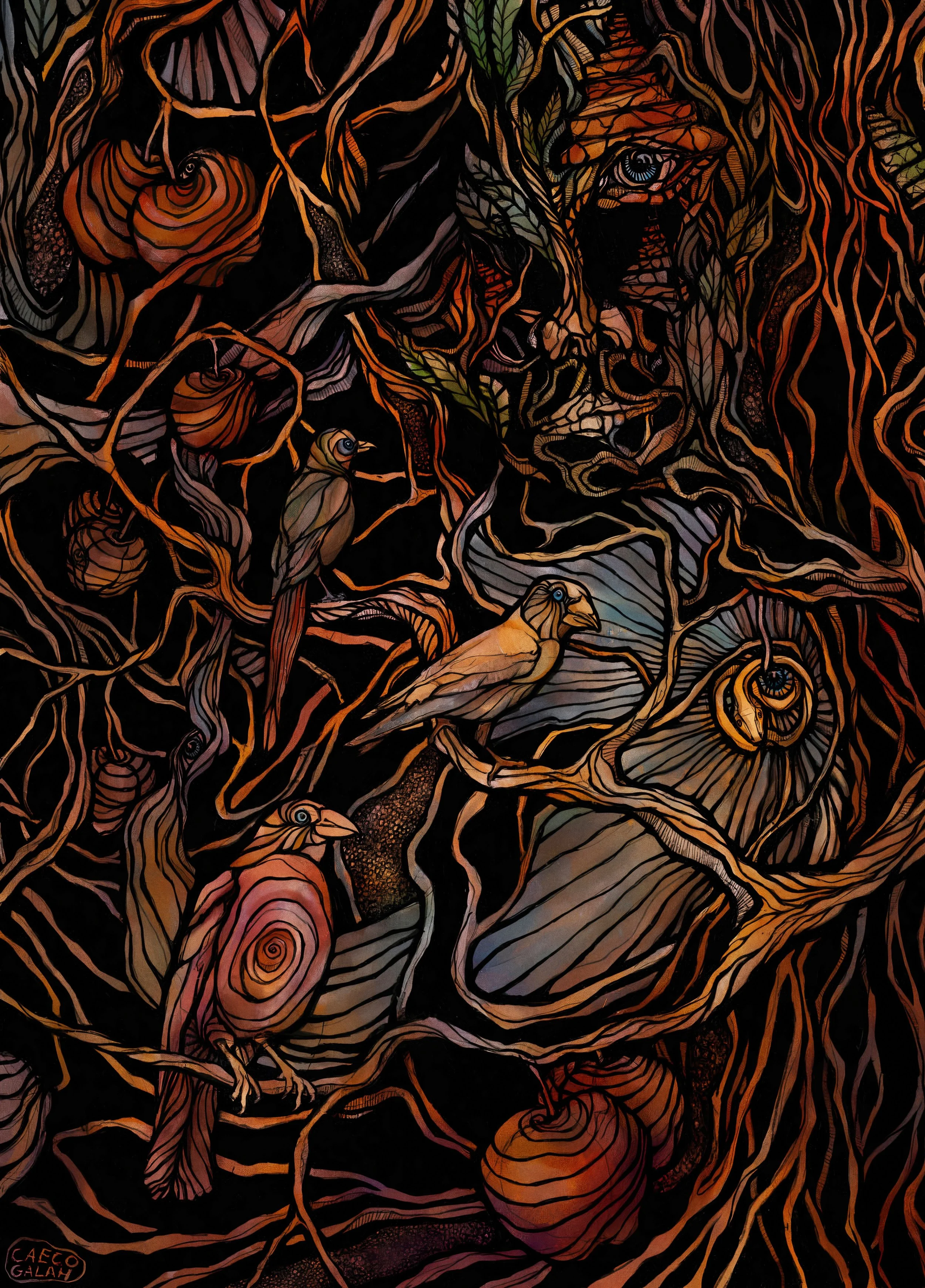 Az éden kertje_Caeco Galah_WEB .jpg