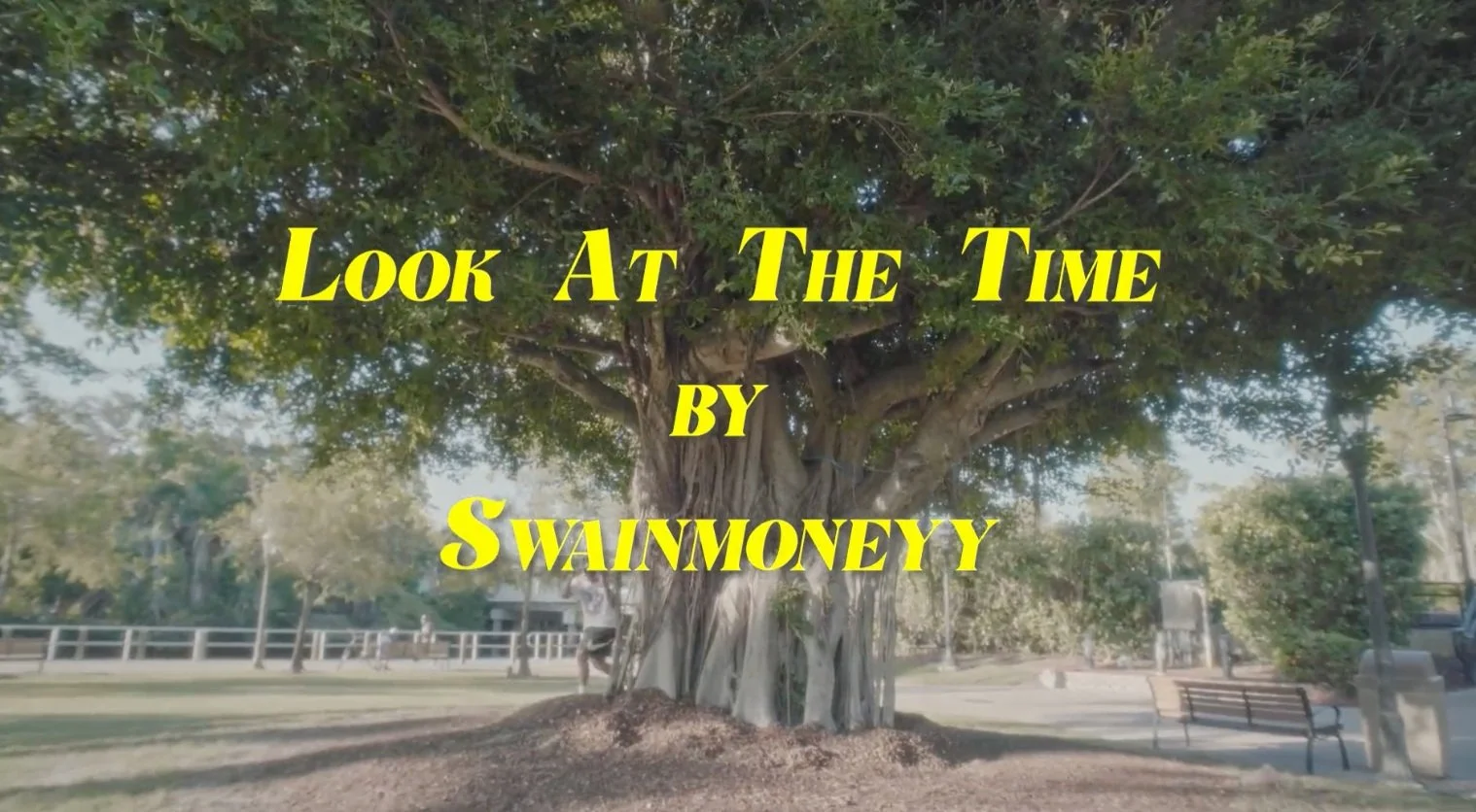 Screen Shot 2023-12-31 at 3.50.49 PM.jpg